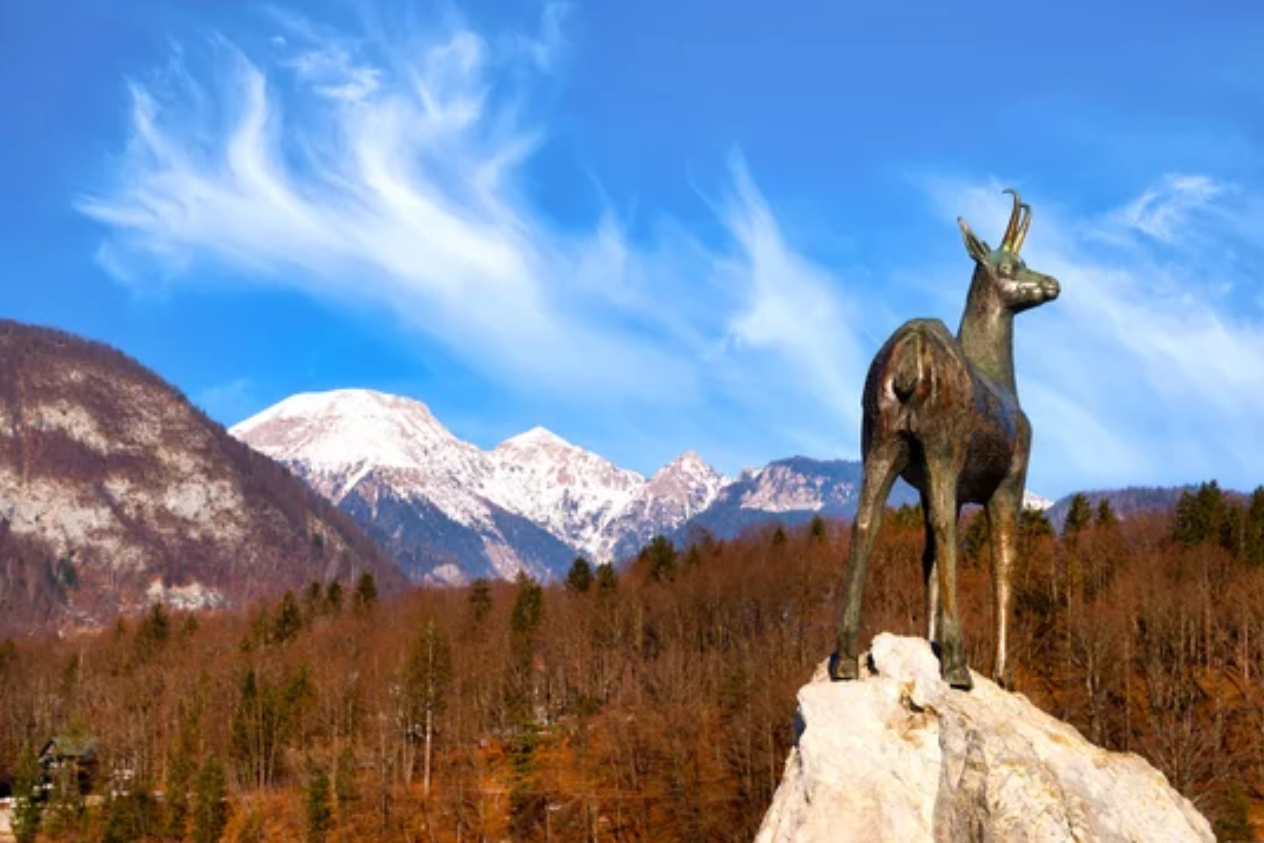 Eslovenia a caballo- Roundabout 3.png