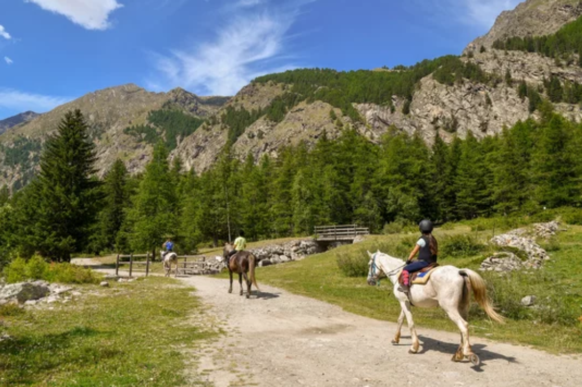 Mountain Pine Ridge Reserve & Caracol - Viaventure 4.png
