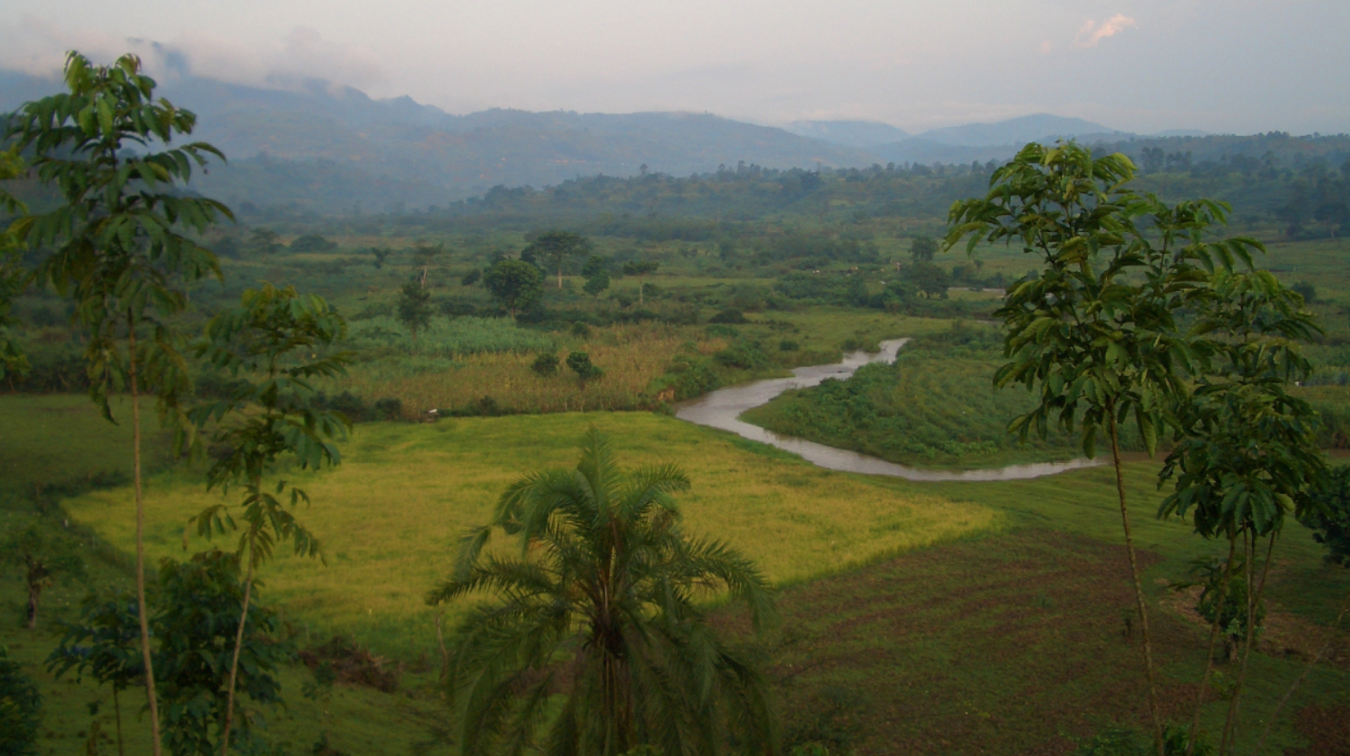 Uganda 4 selva con río.png