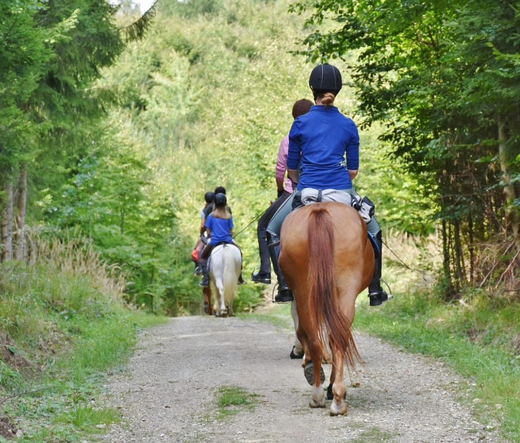 Portigal fam. - Cabalgata.png