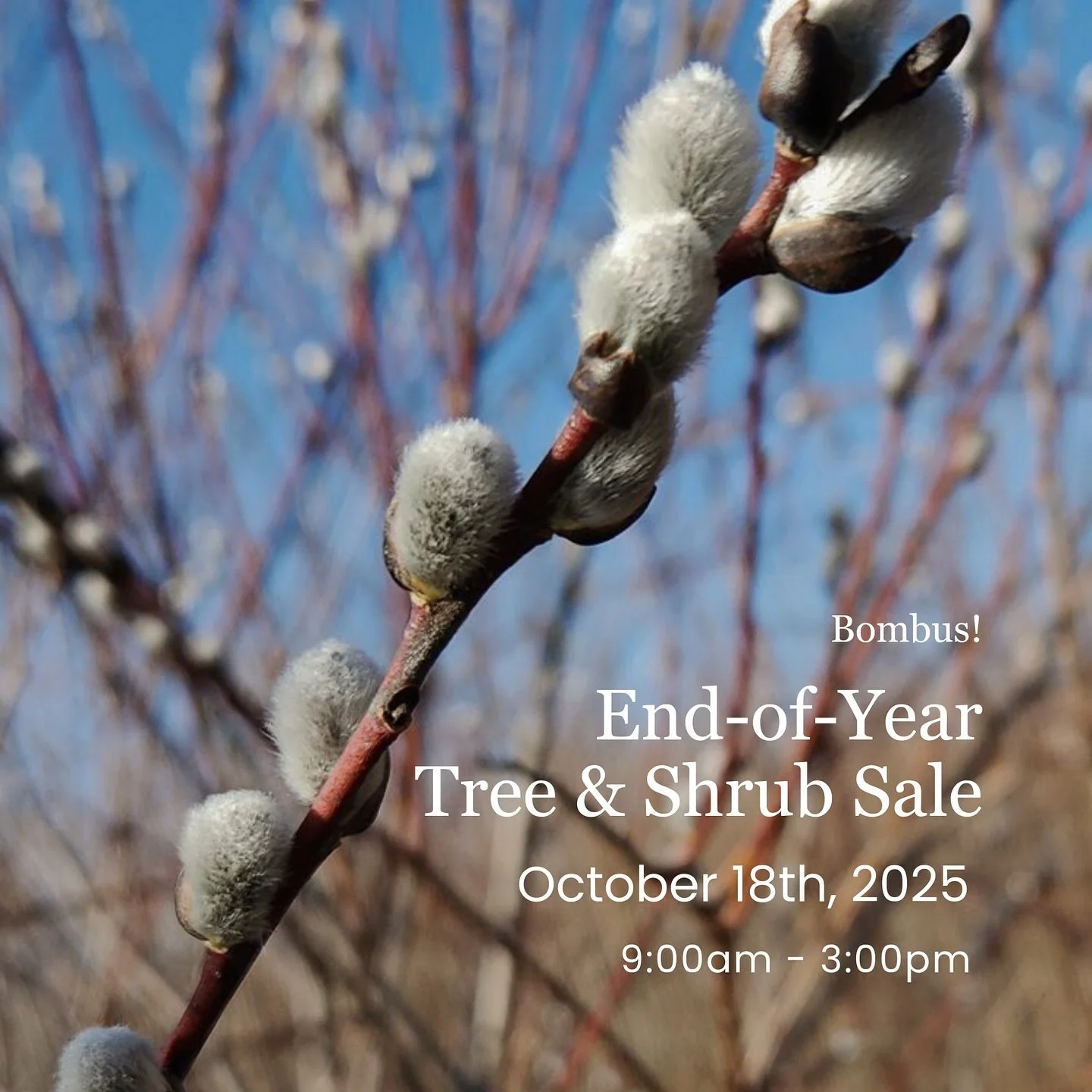 Bombus End-Of-Year Tree & Shrub Sale