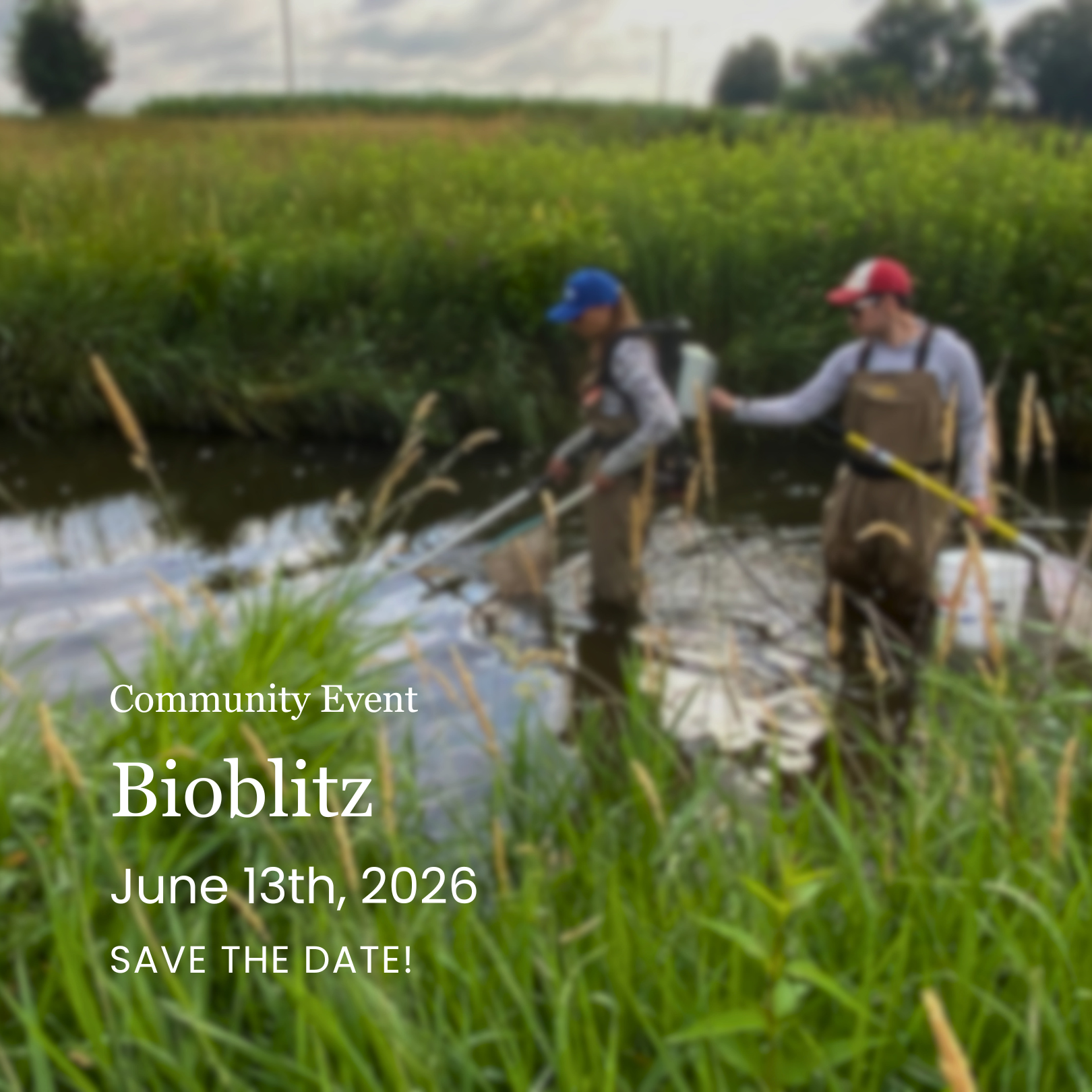 Bioblitz