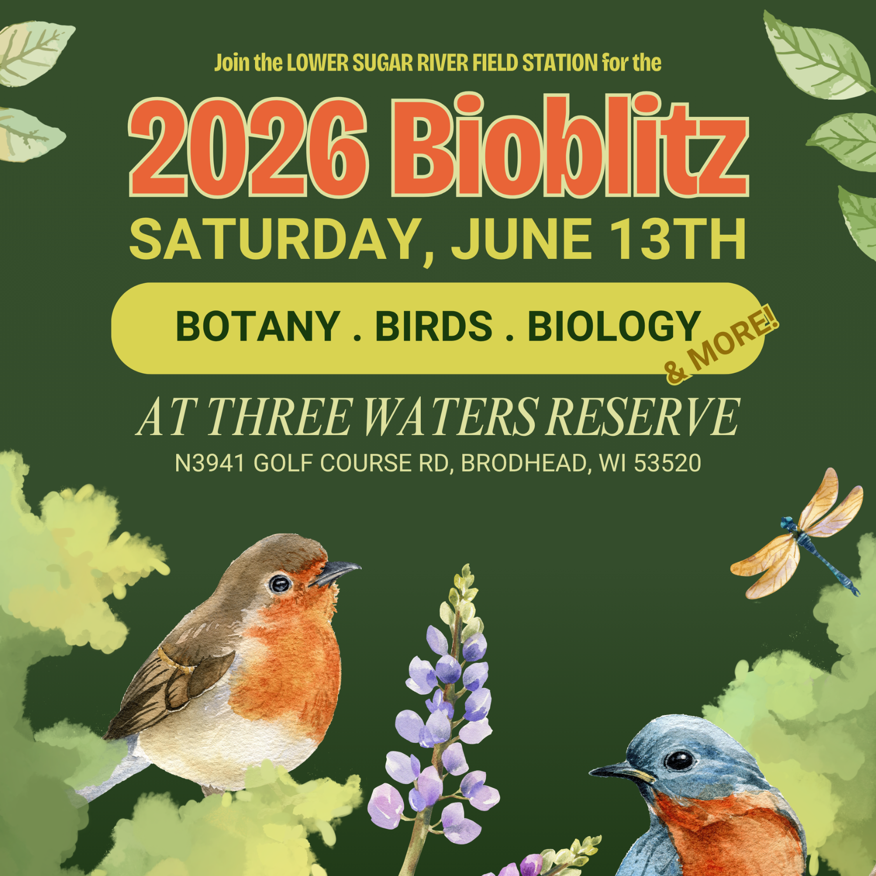 Bioblitz