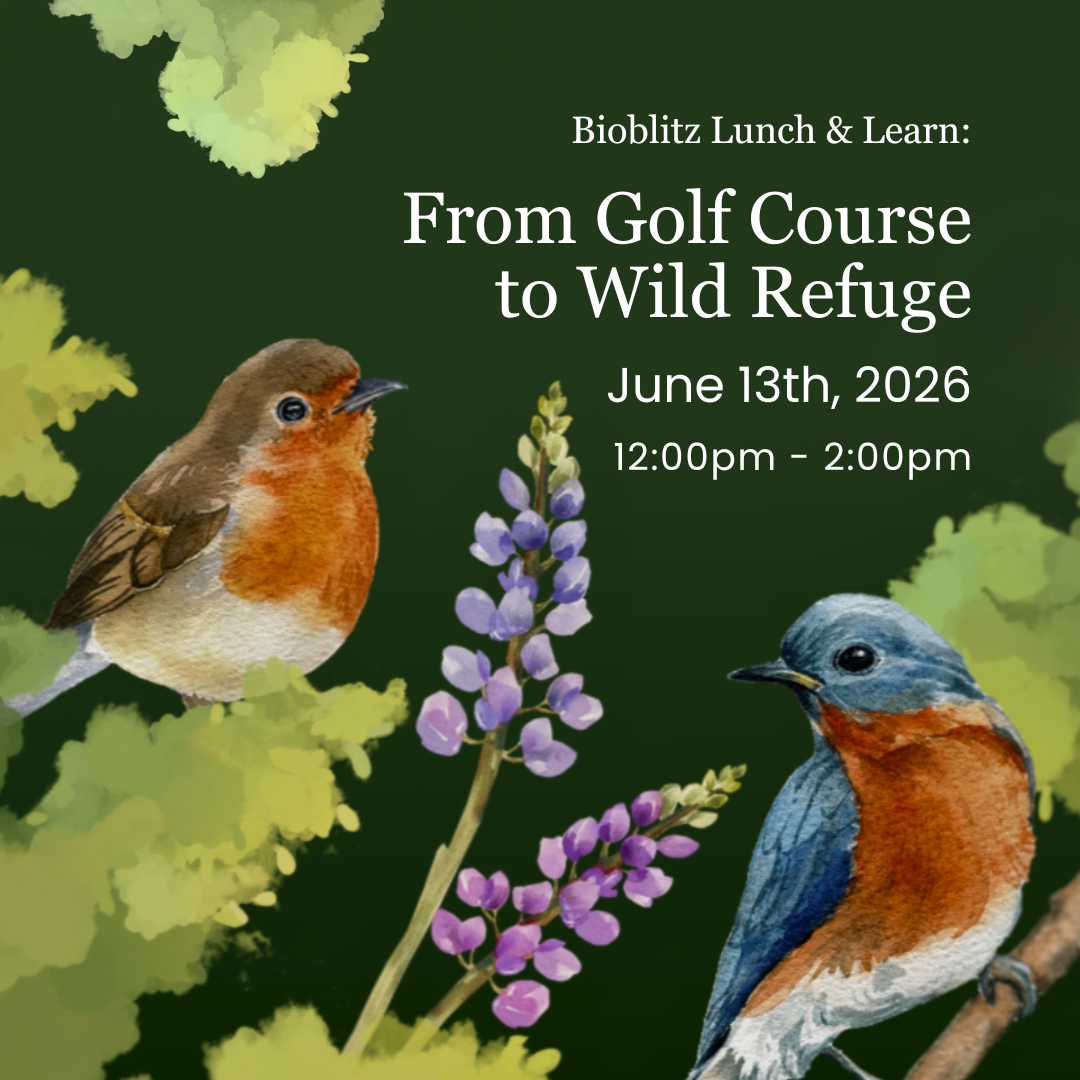 Lunch & Learn: From Golf Course to Wild Refuge
