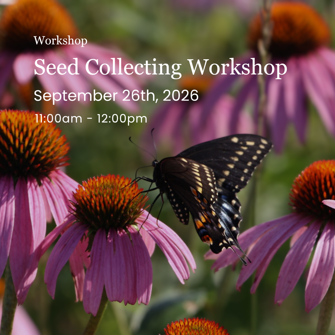 Seed Collecting Workshop