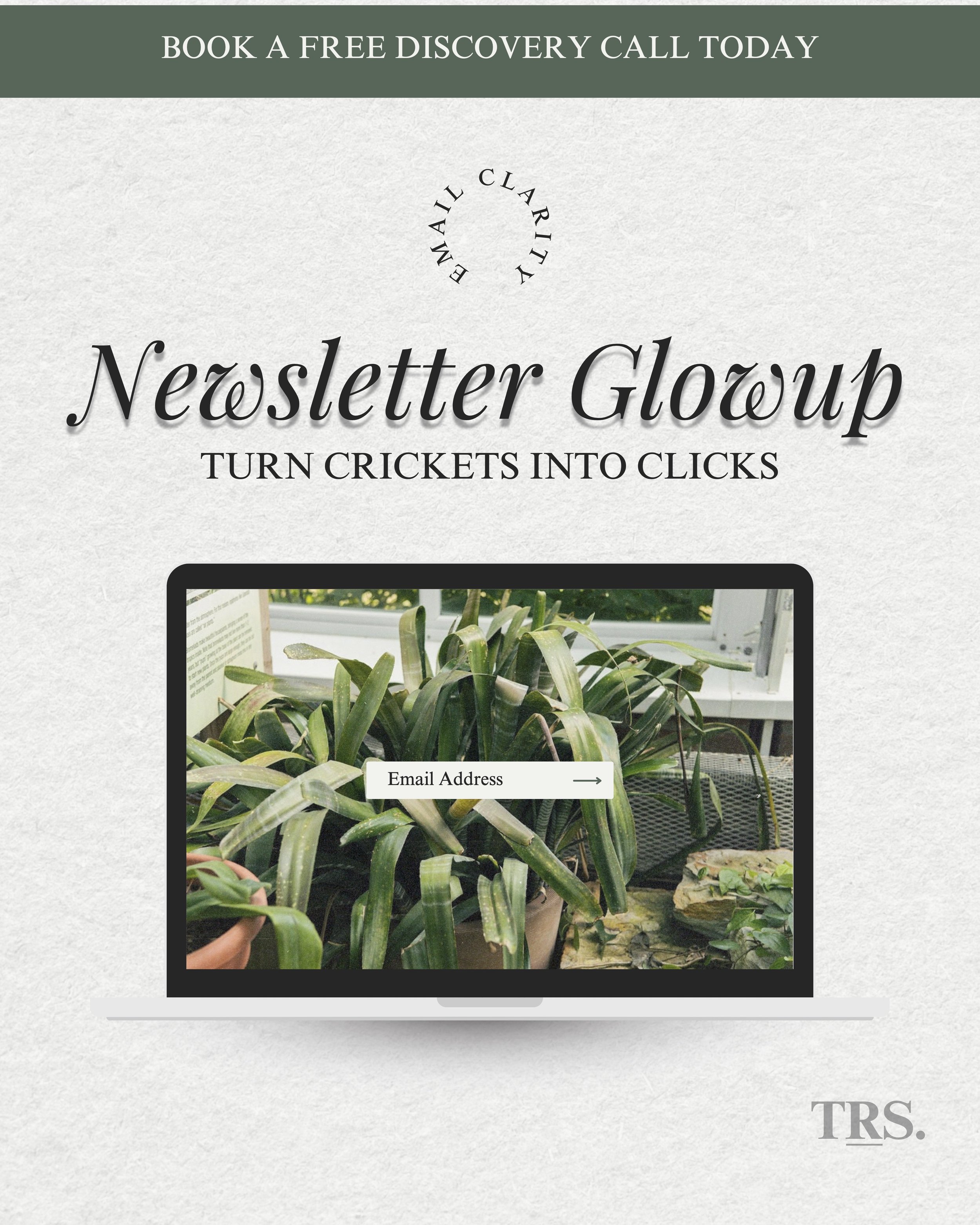 TRS - Newsletter Blowup.jpg