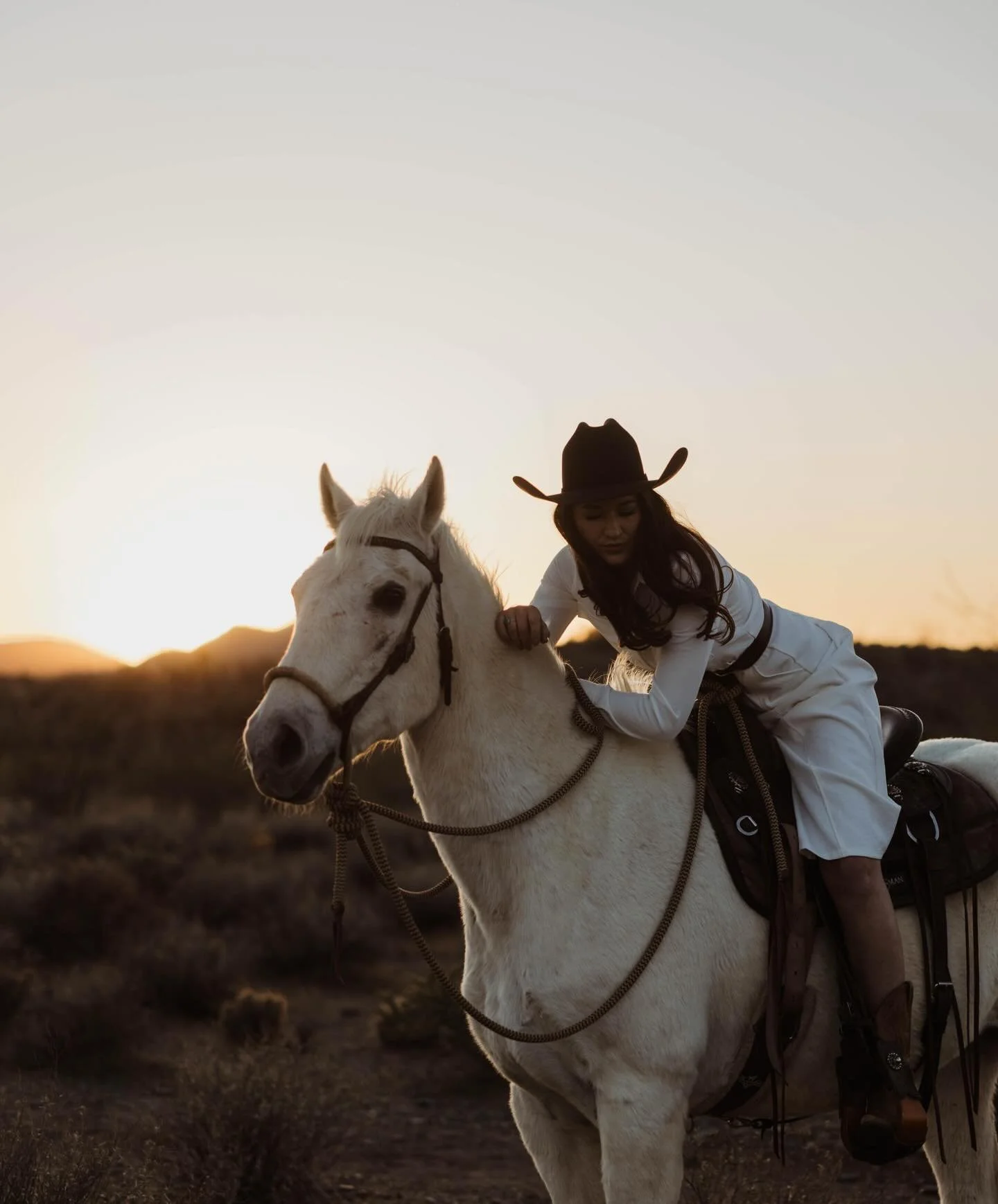 Happy Year of the Horse my loves. 🐎 💫
