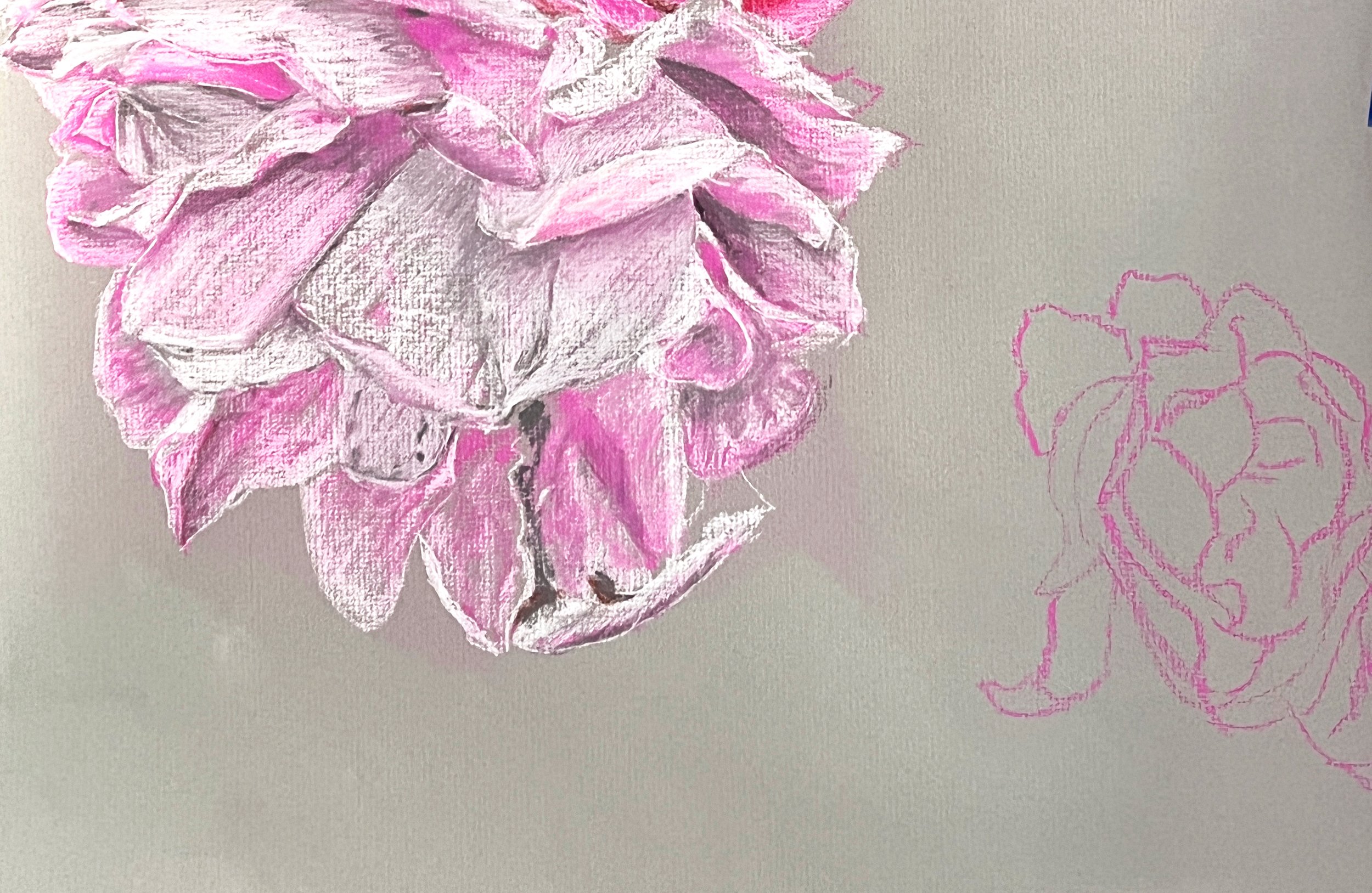 Inbloom_v1_4th.jpg