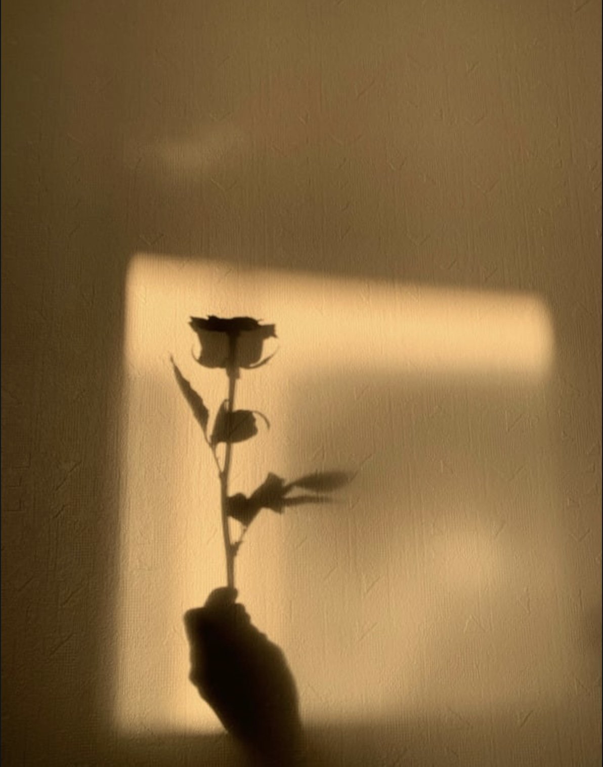 5 Powerful Benefits Of Shadow Work On Your Spiritual Journey
