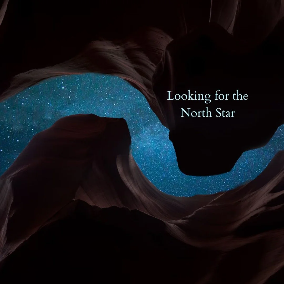 Looking for the North Star Online Circle.

Astrologically speaking, 2026 is shaping up to be a bit of a wild ride.It is the year of the Fire horse in Chinese Astrology after all. We are entering a period marked by rare and never-before-seen planetary