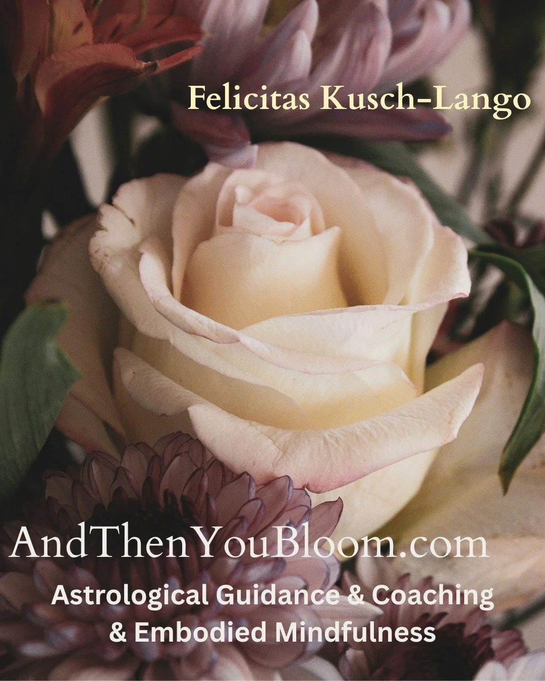 "In my years of study with Felicitas (in yoga studio, private astrological readings, and/ or womens' study groups) she has continued to ahhh-maze me with the depth of her devotion to curiosity, exploration of the uncertain, and provision of a sp