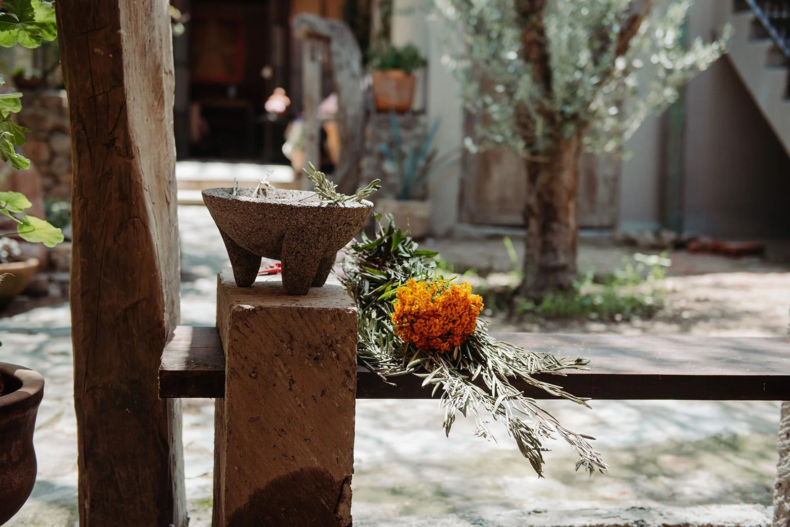 AndThenYouBloomBrand2025-52_websize copy.jpg