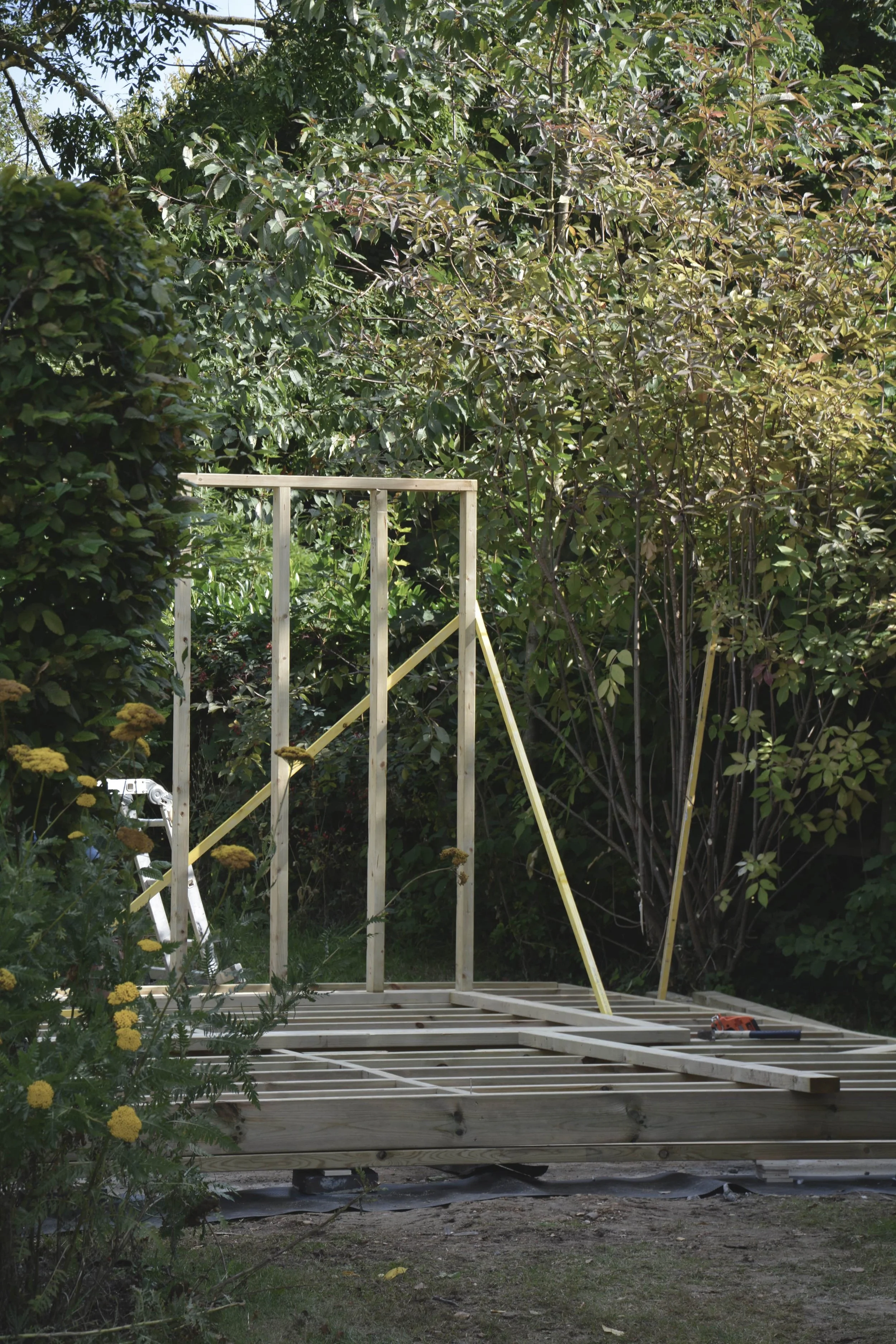 timber studwork for a custom outdoor sauna, showcasing the construction buildup of the custom sauna build by Grain Property.