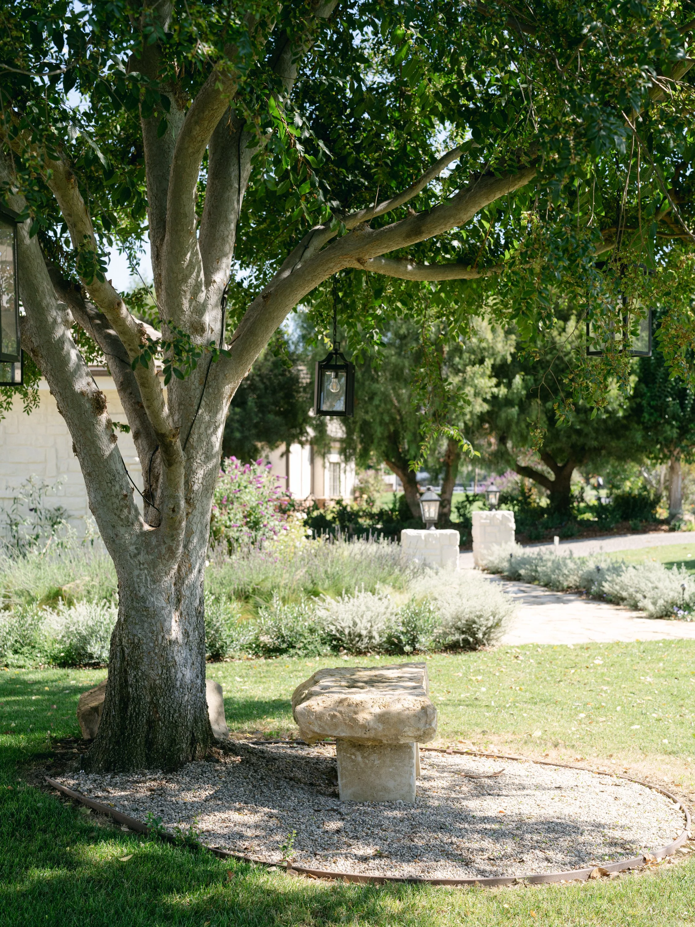 front yard bench.jpg