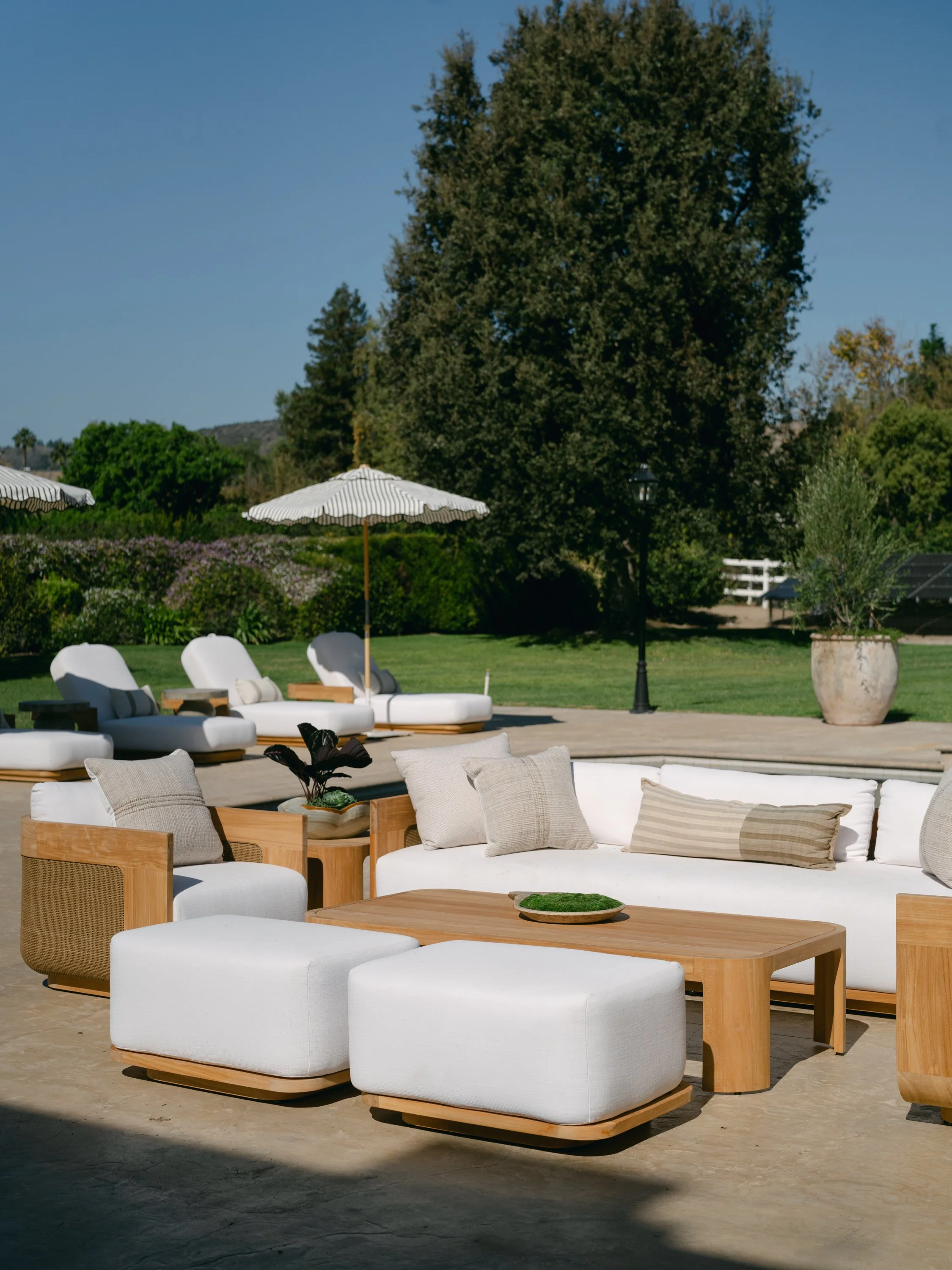 AB Interiors Backyard Sumac.jpg