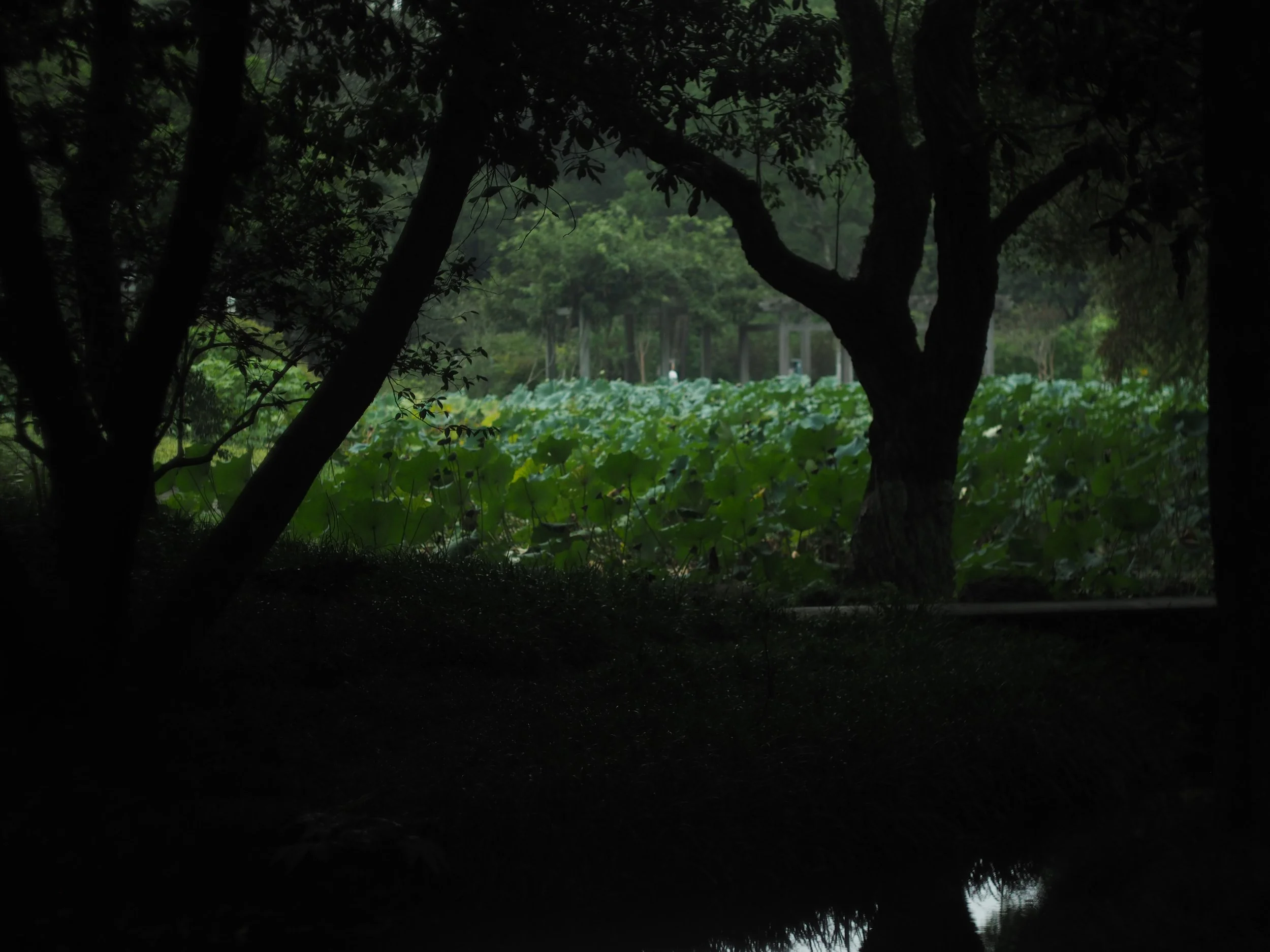 P9292286.JPG