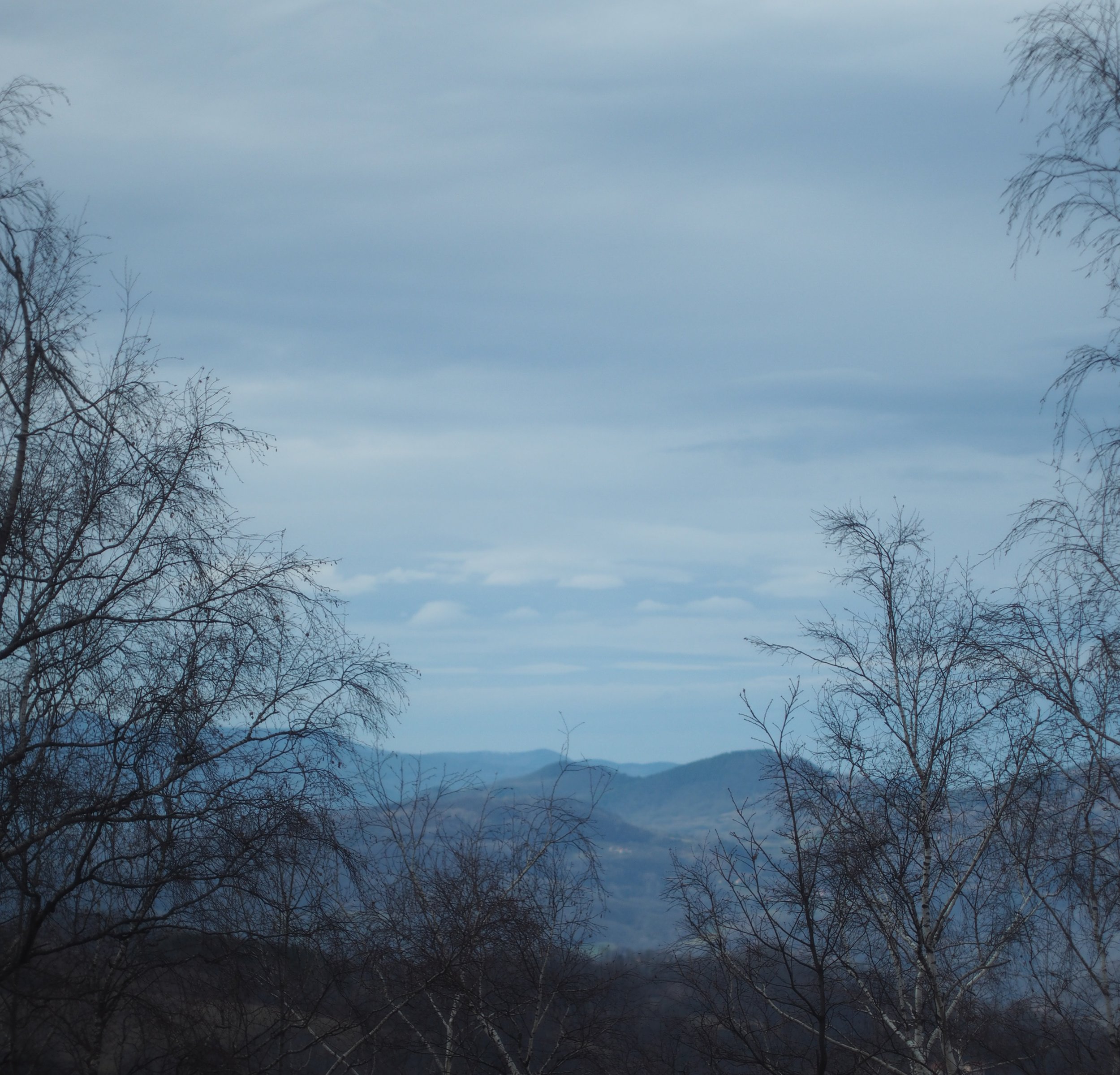 P2144843.jpg