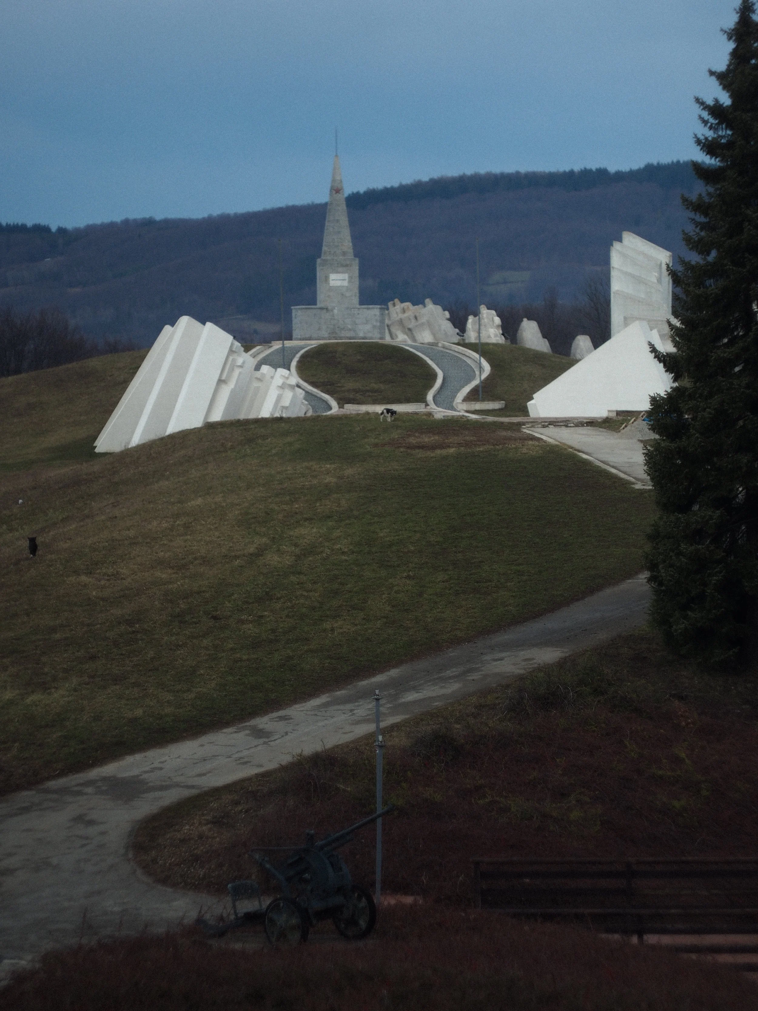 P2144834.jpg