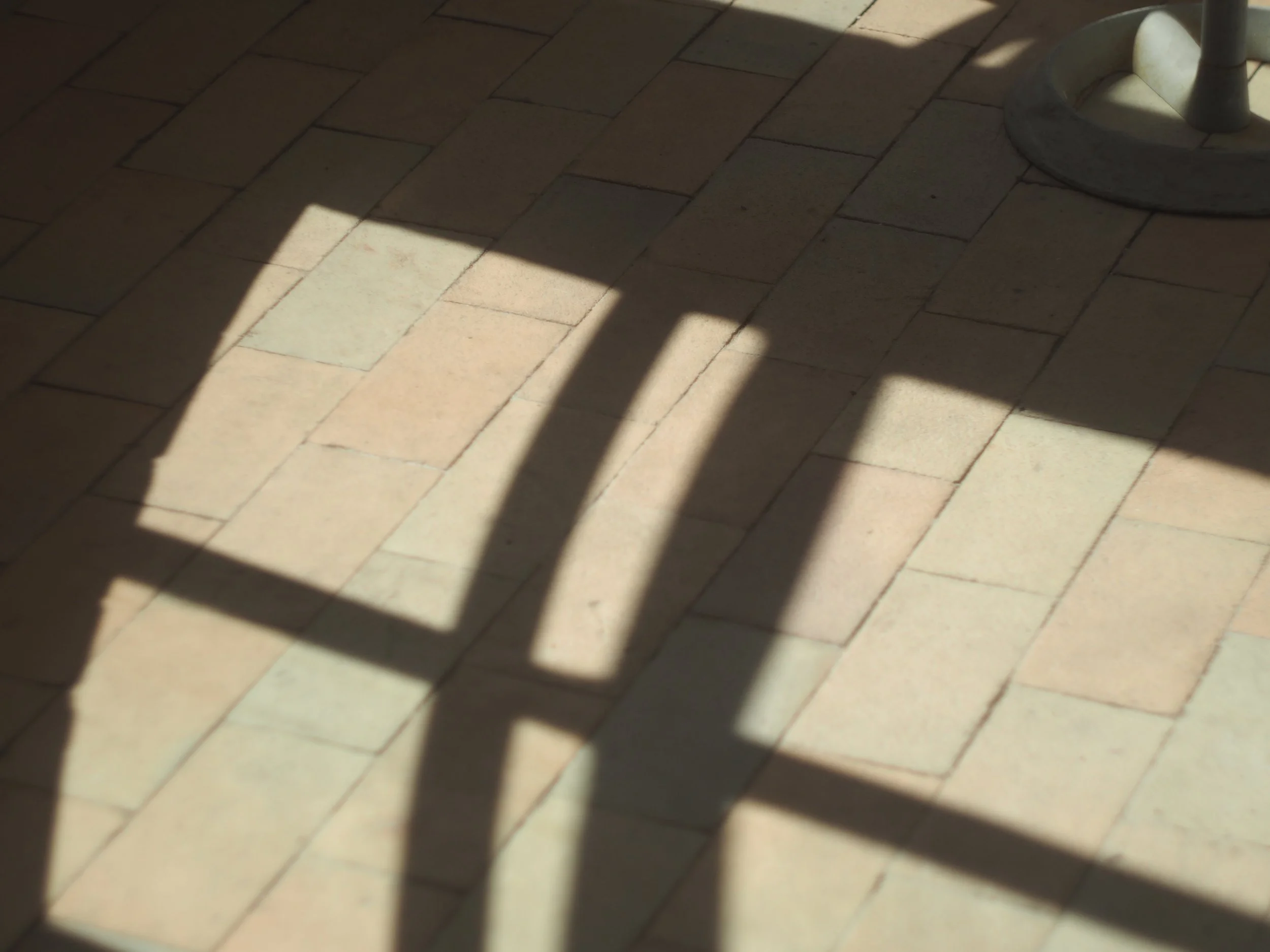 P5152217.JPG