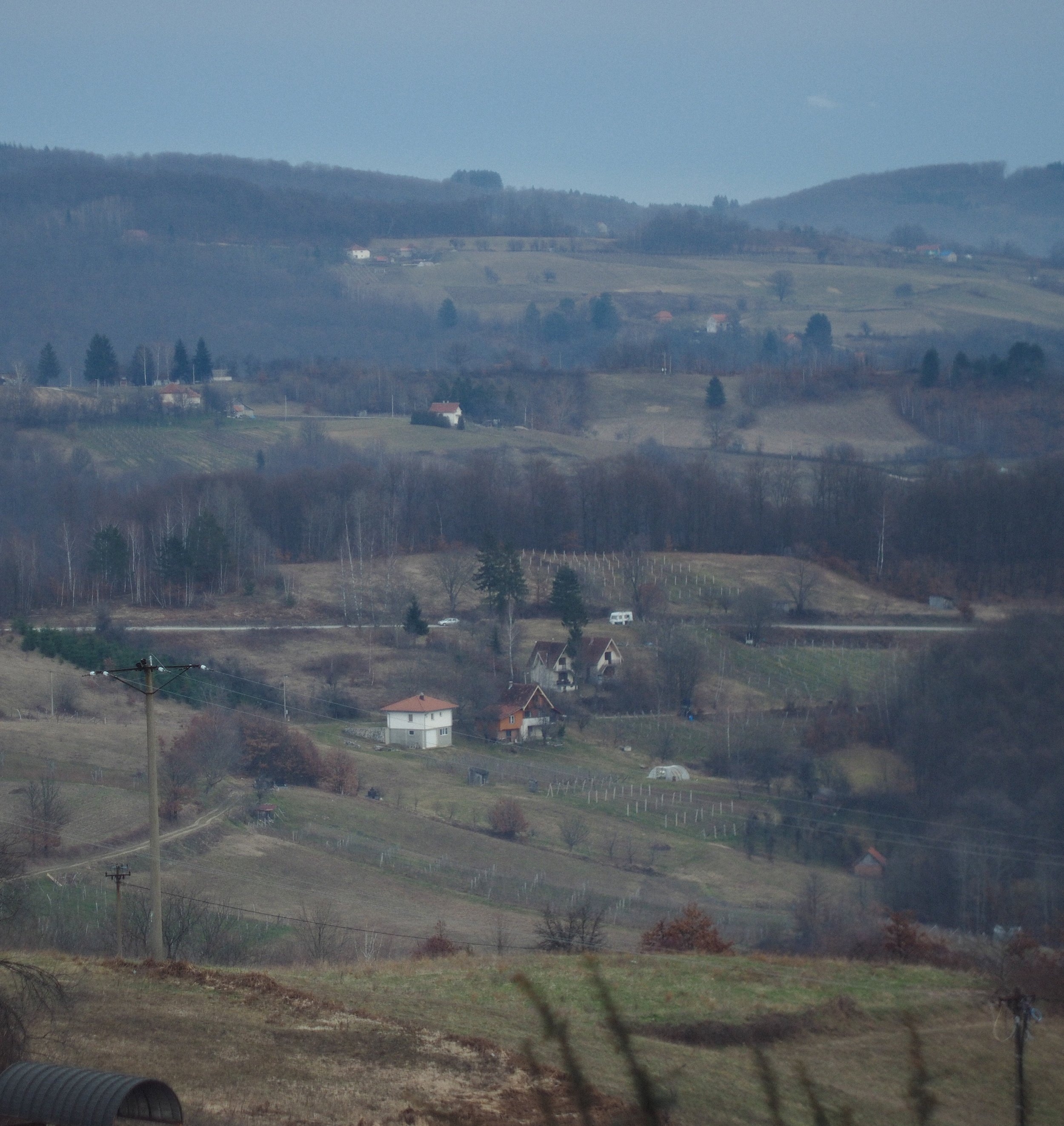 P2144835.jpg