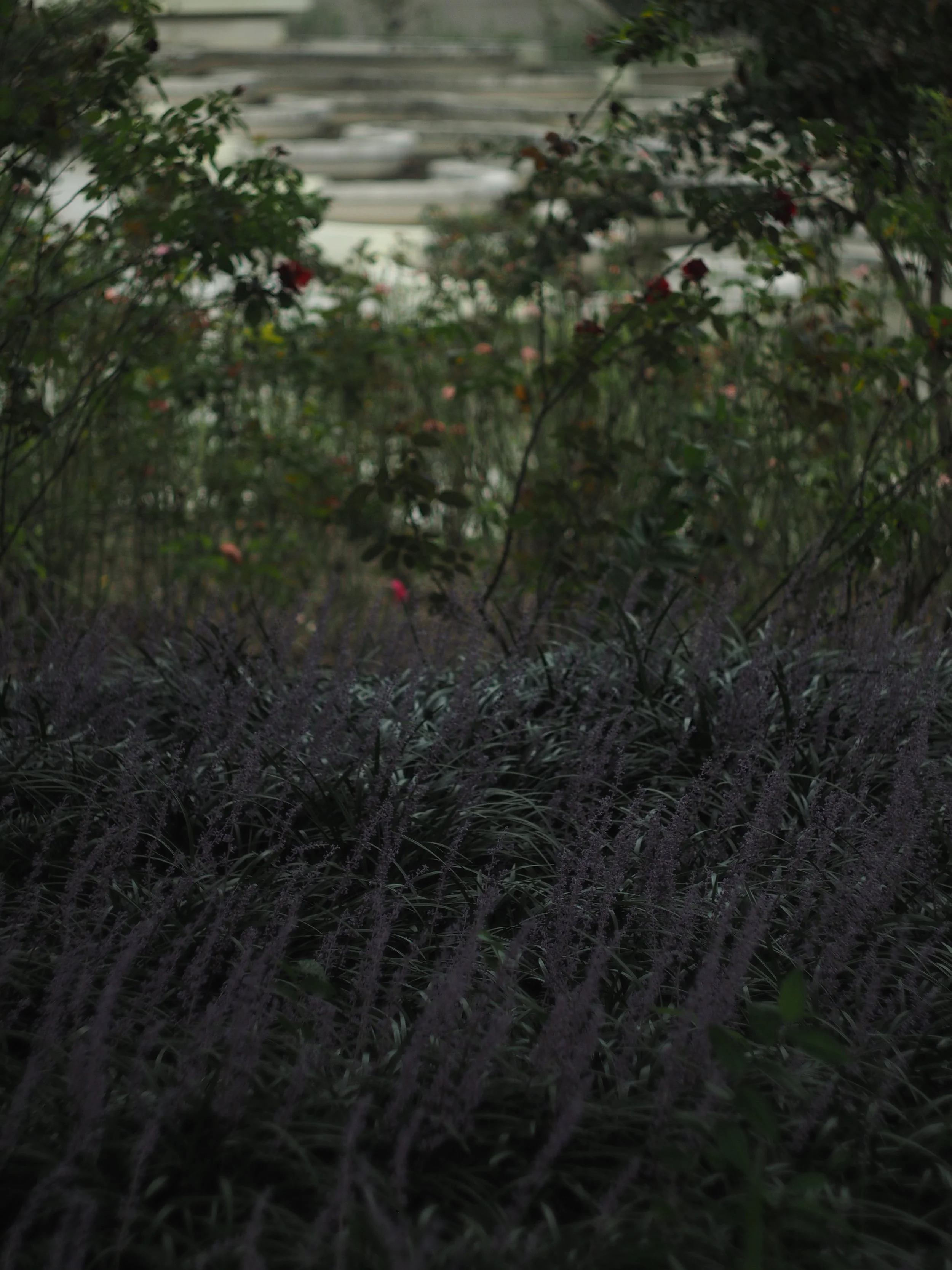 P9292295.JPG