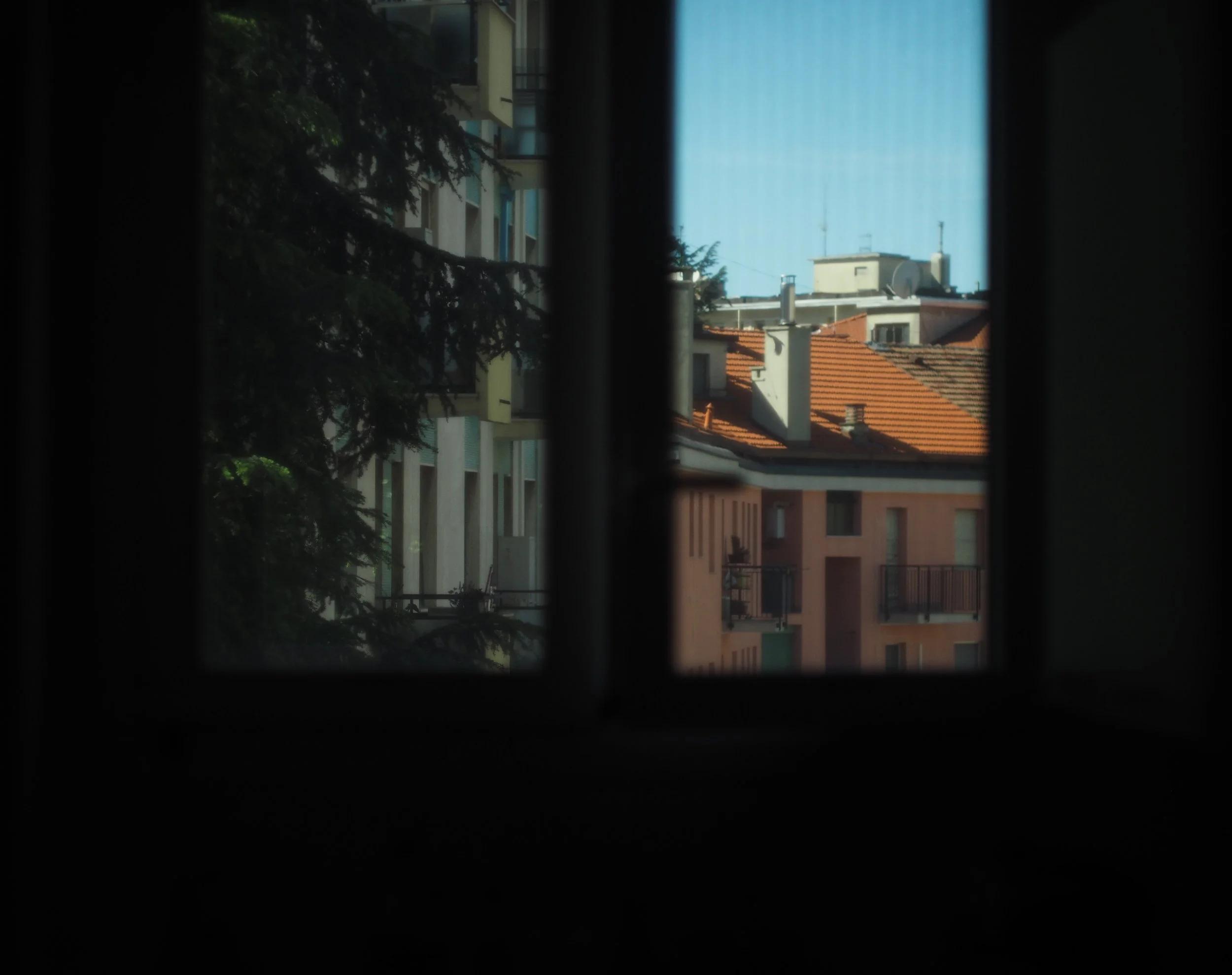 P4261815.jpg