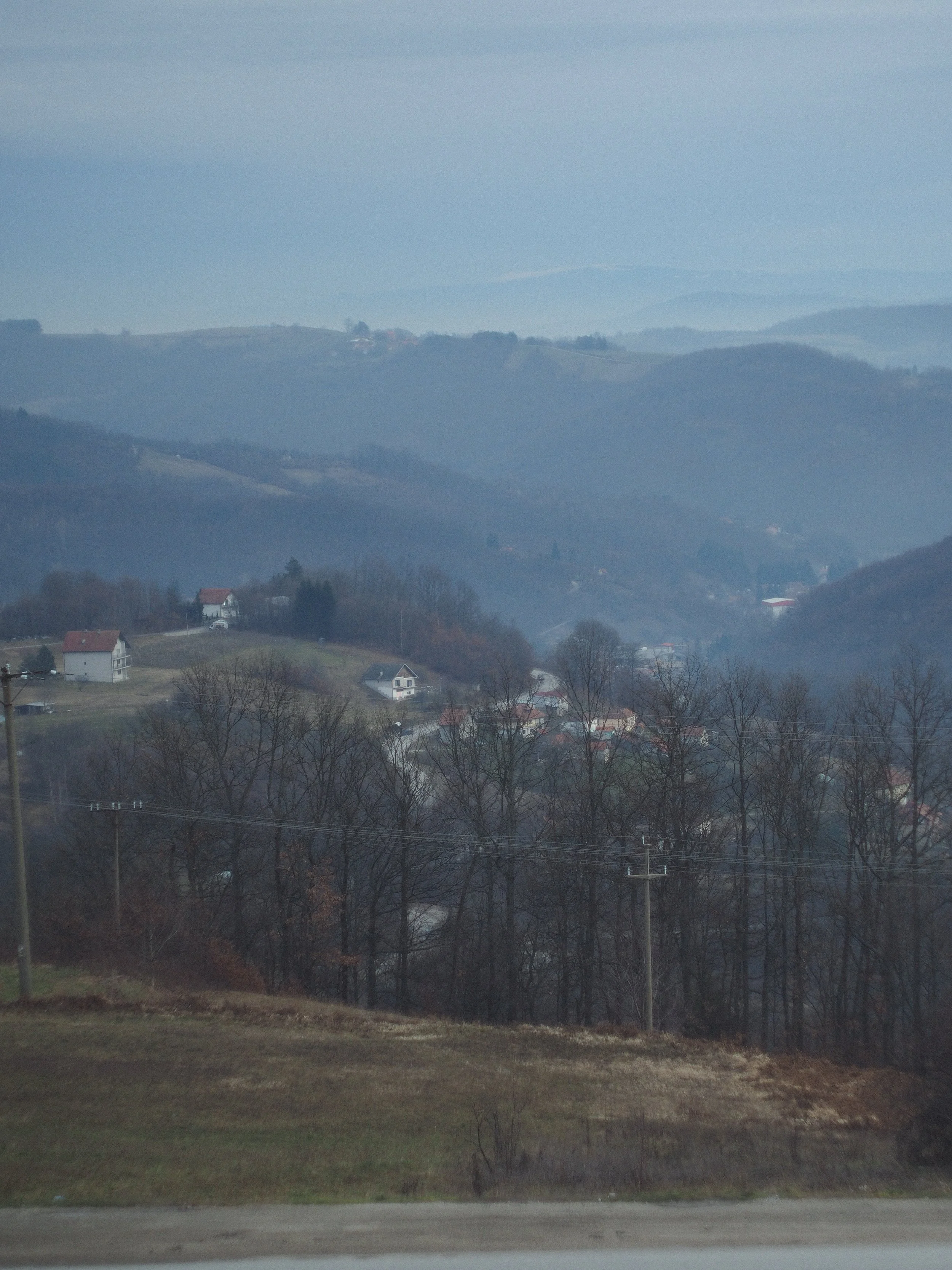 P2144853.jpg
