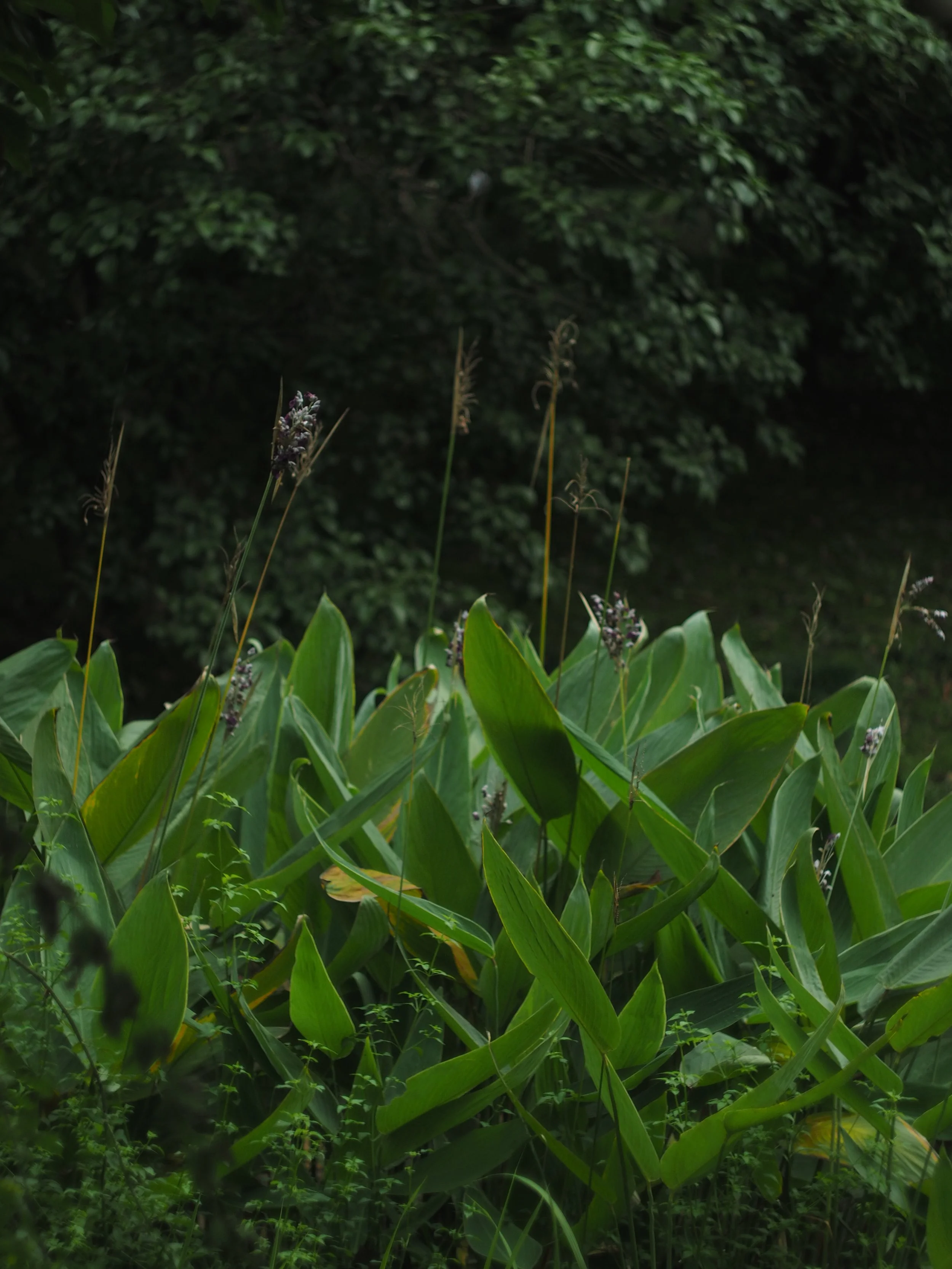 P9292244.JPG