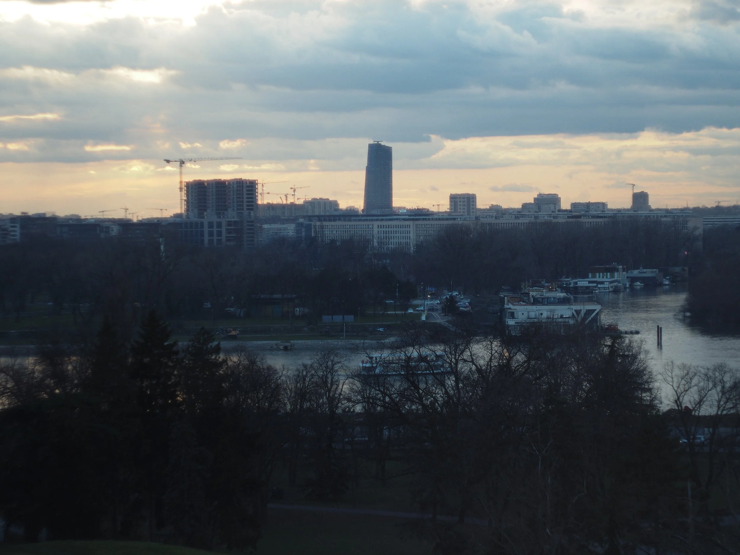 P2134764.jpg