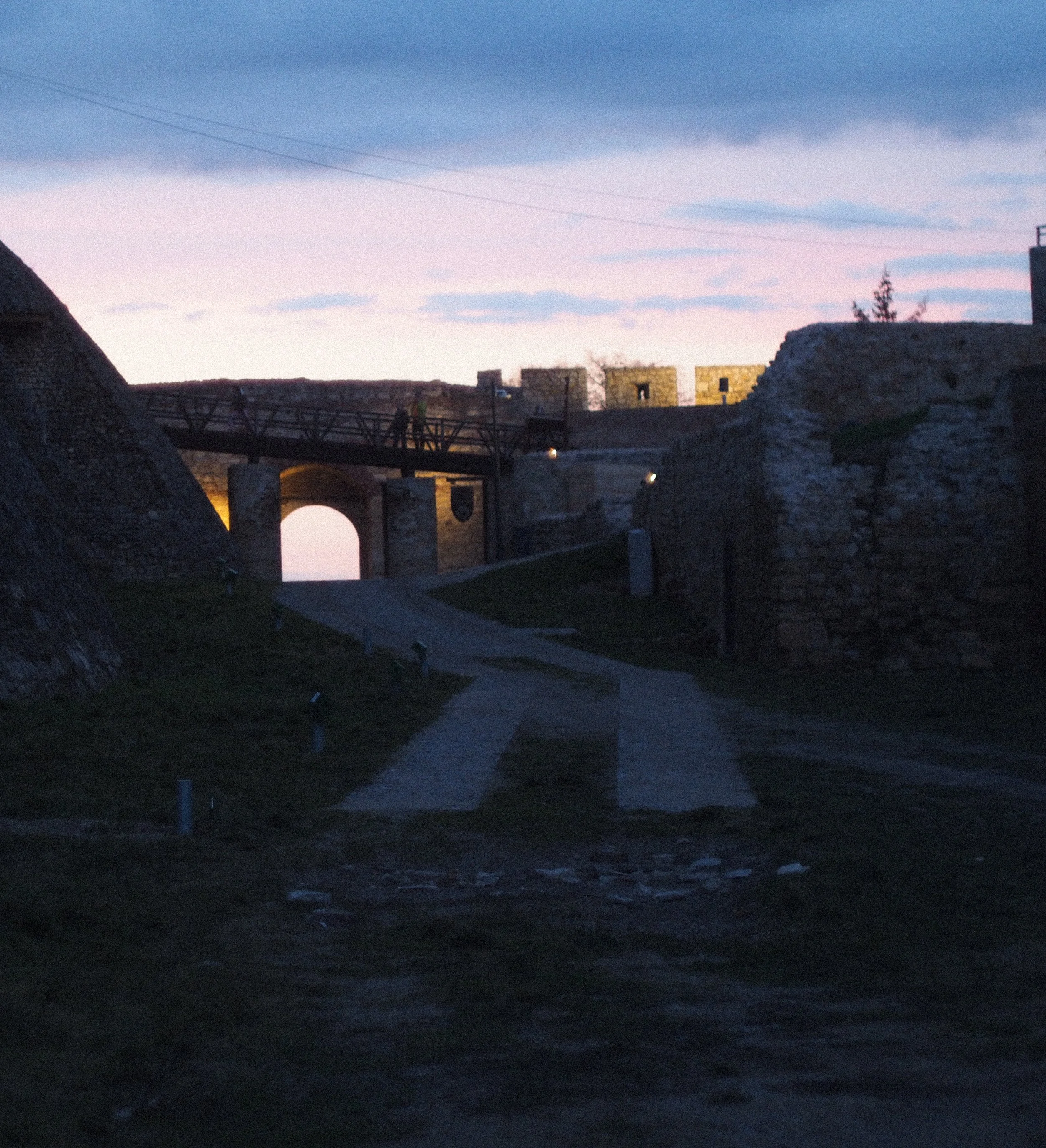 P2134829.jpg