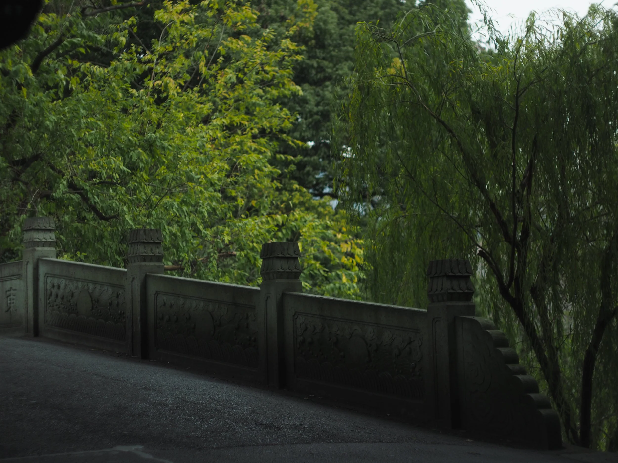 PC231434.jpg