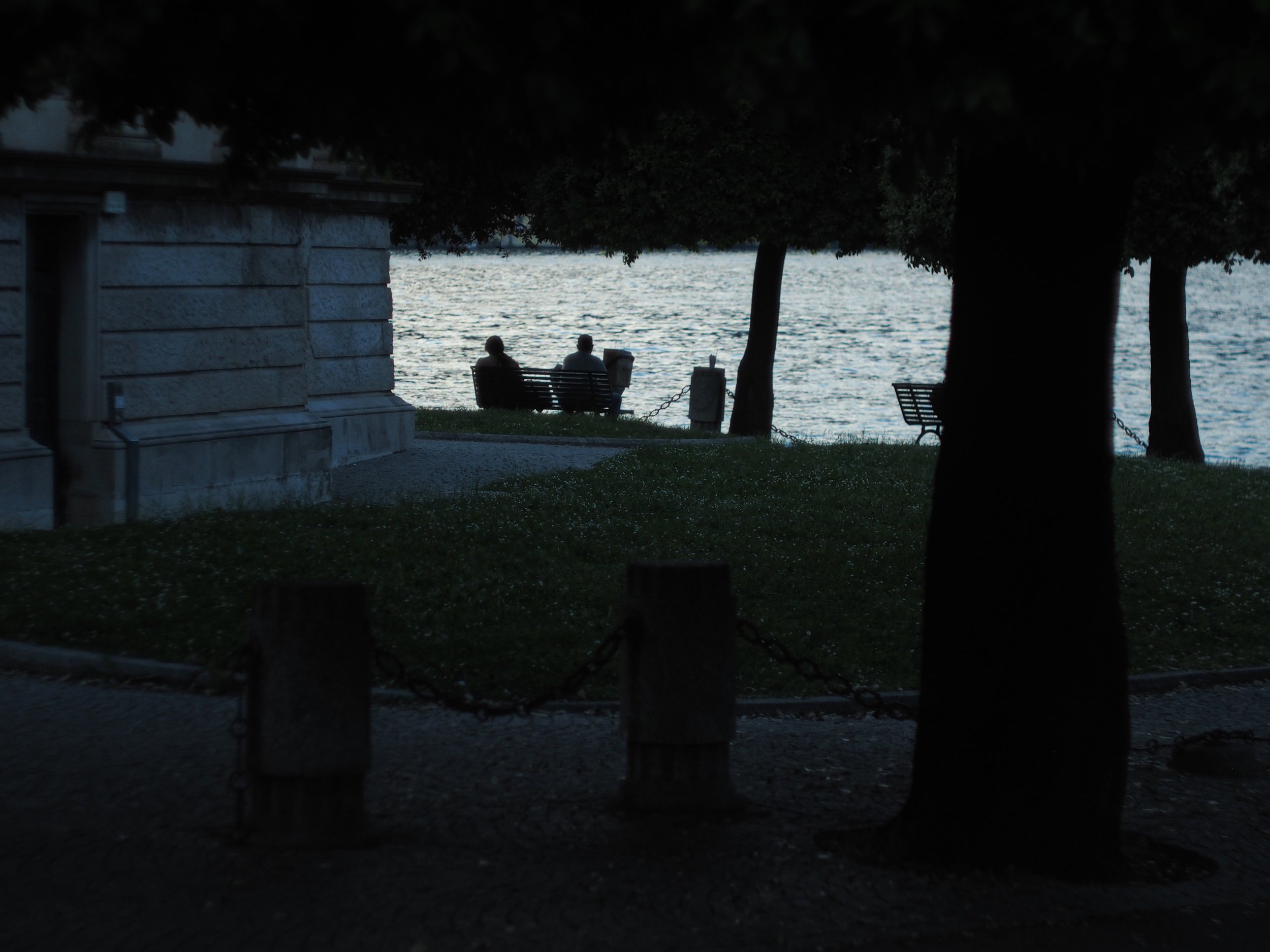 P5252521.jpg
