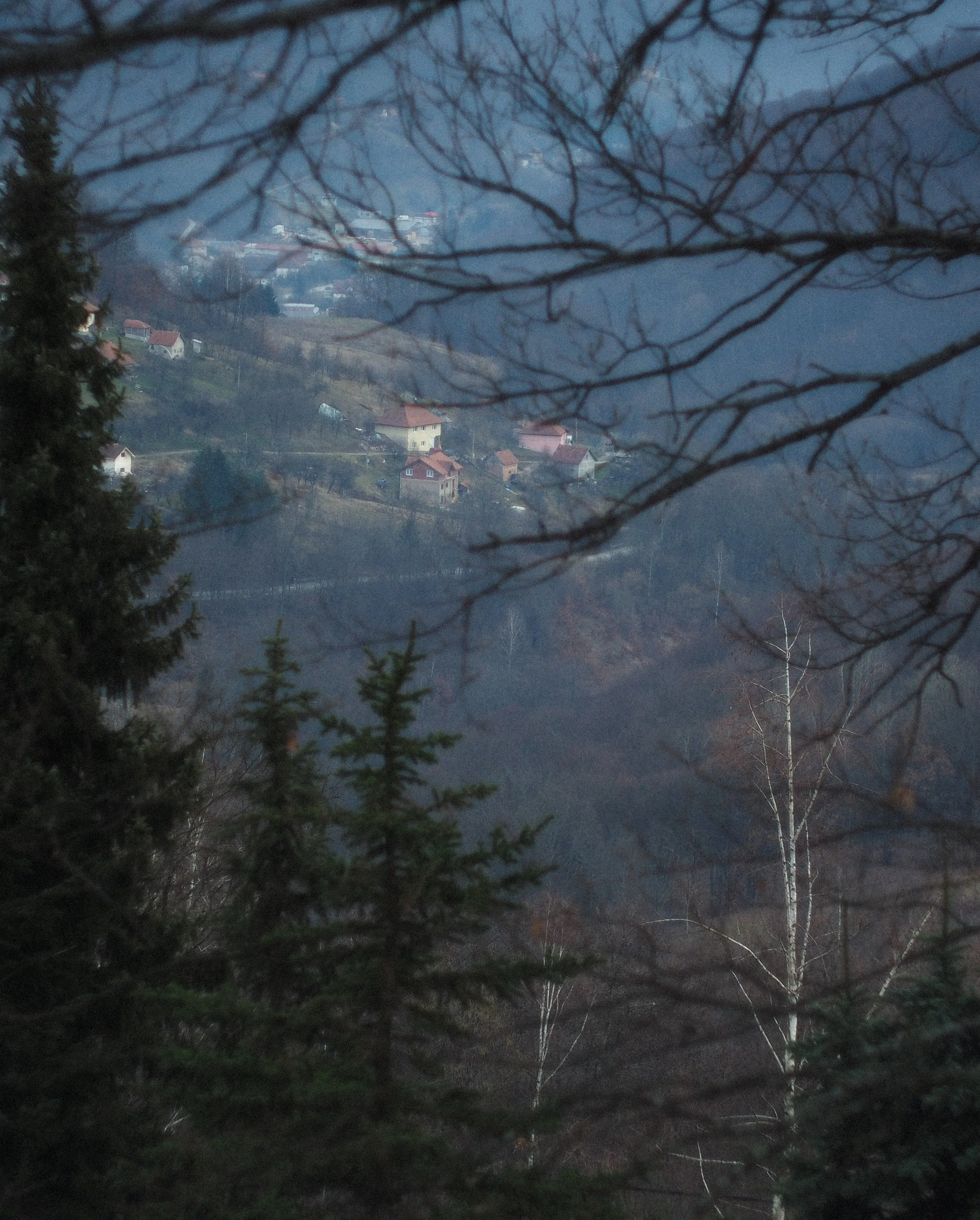 P2144845.jpg