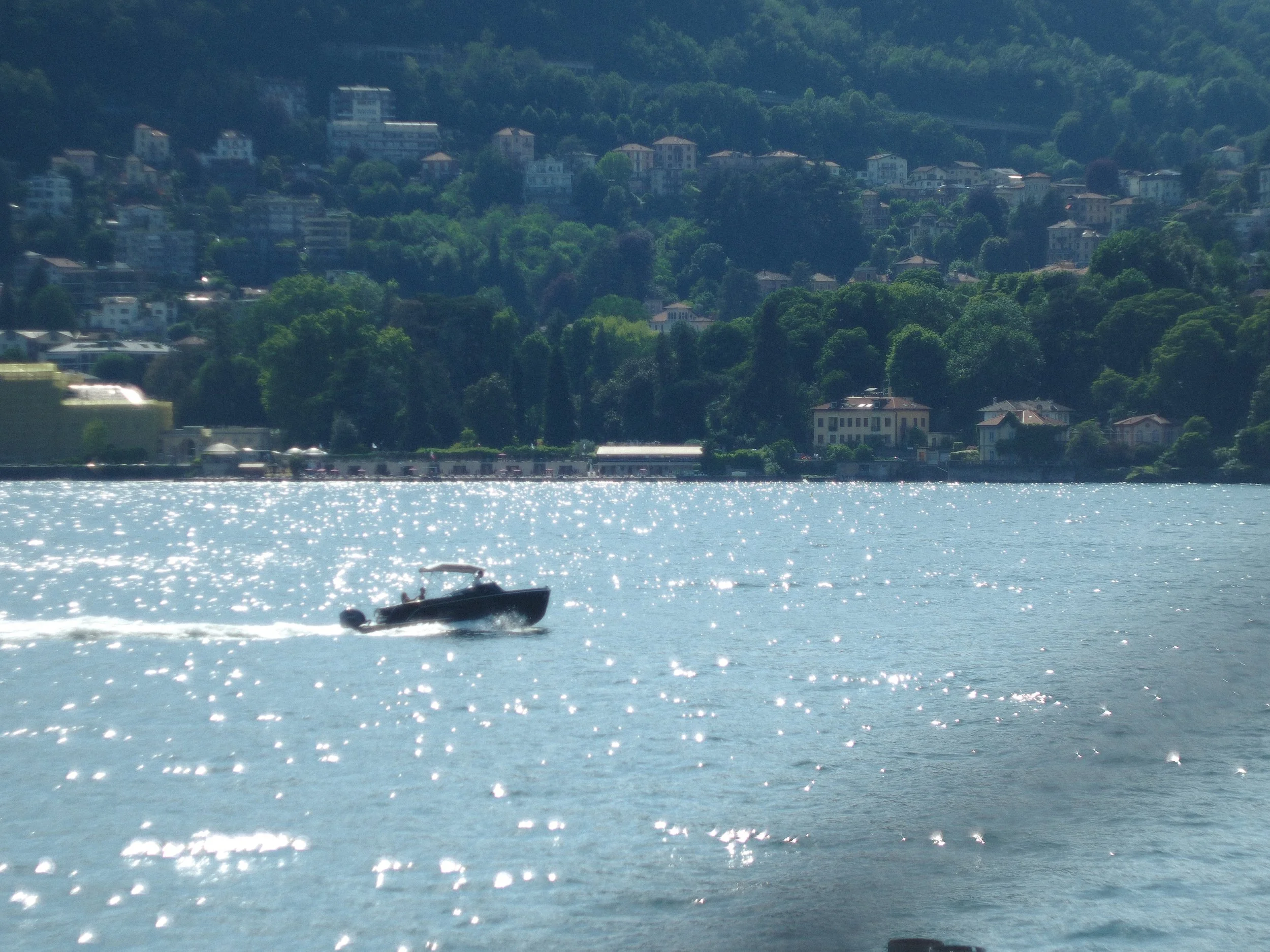 P5252442.jpg