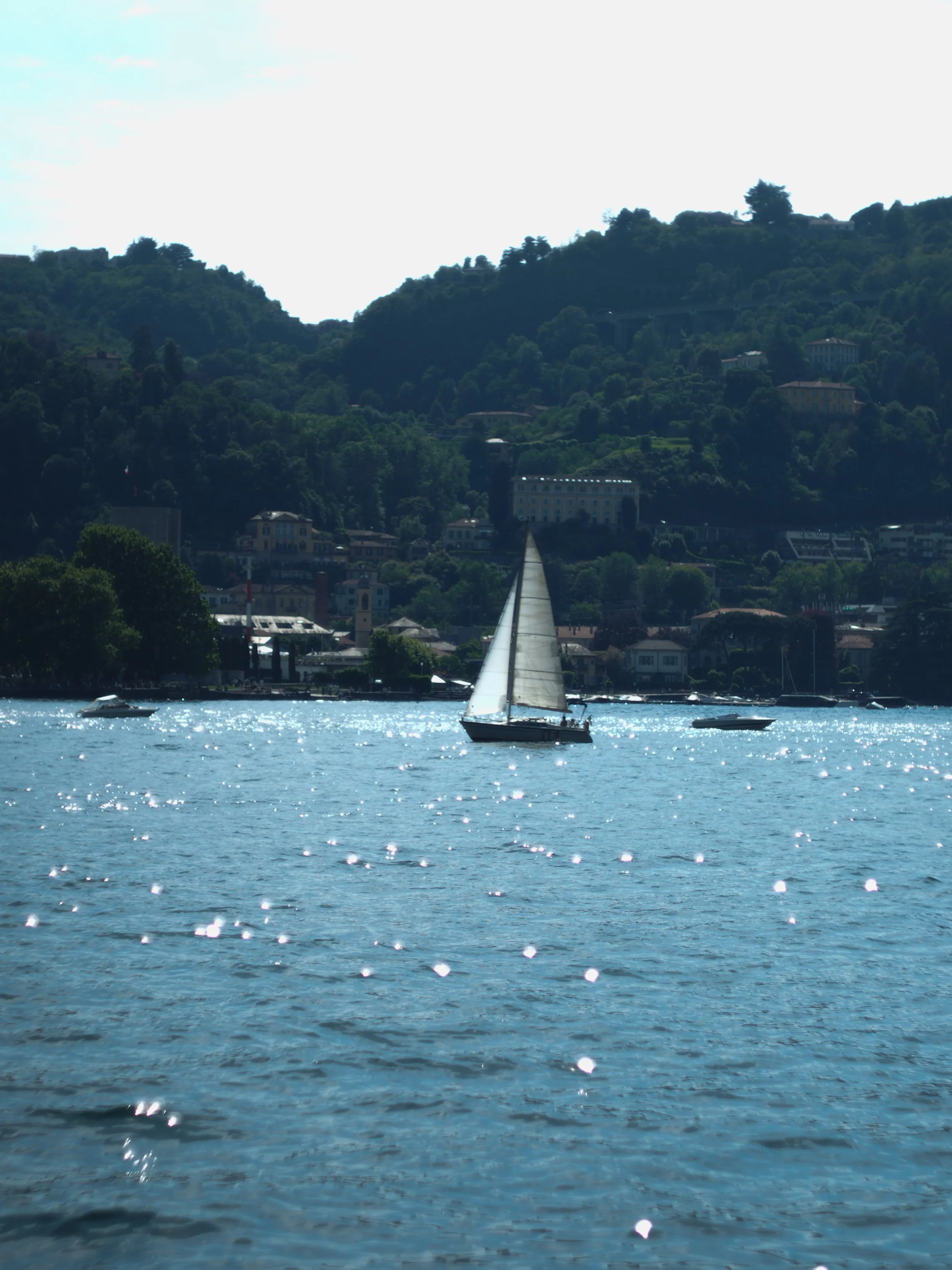 P5252411.jpg