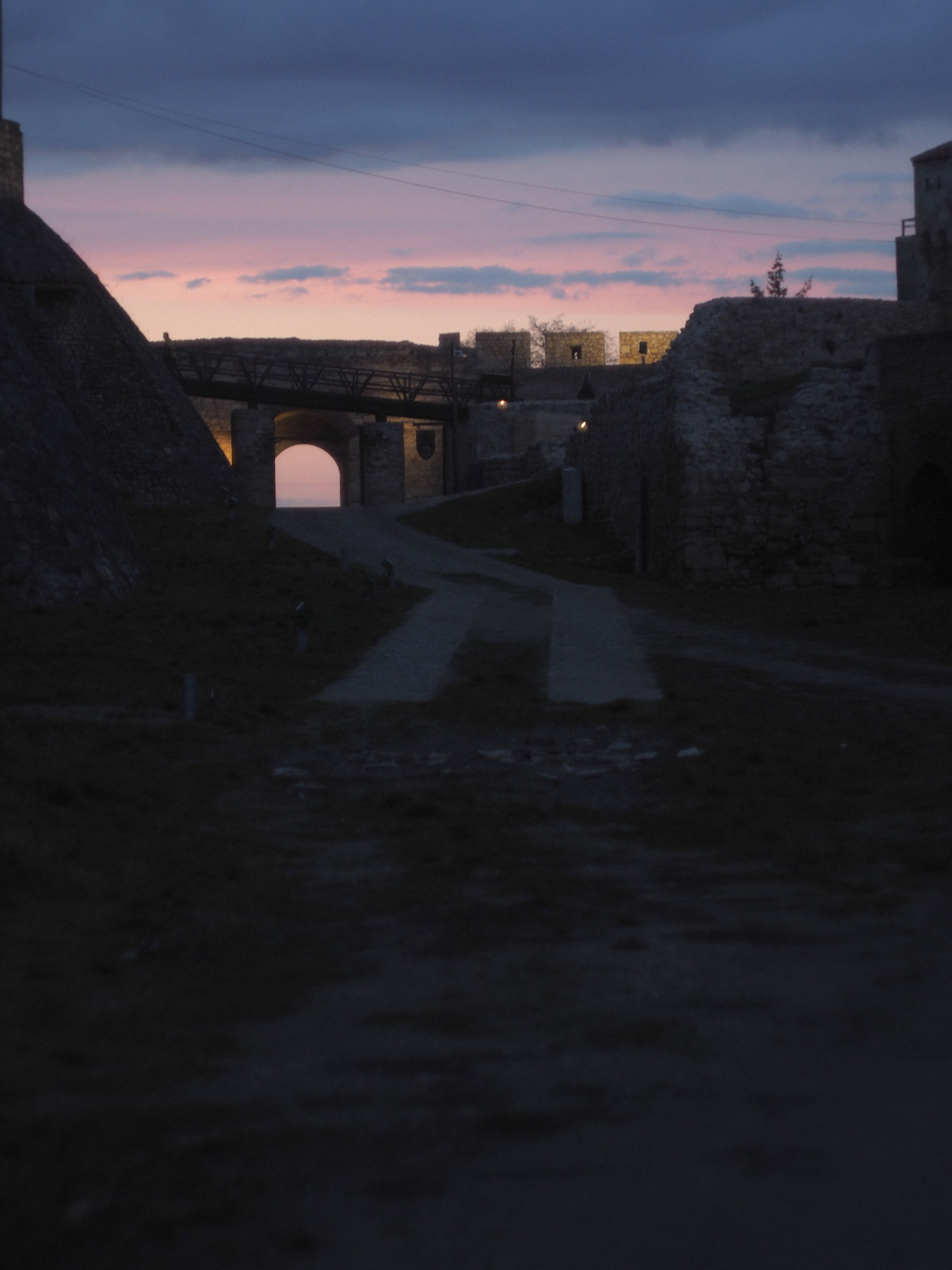P2134831.jpg