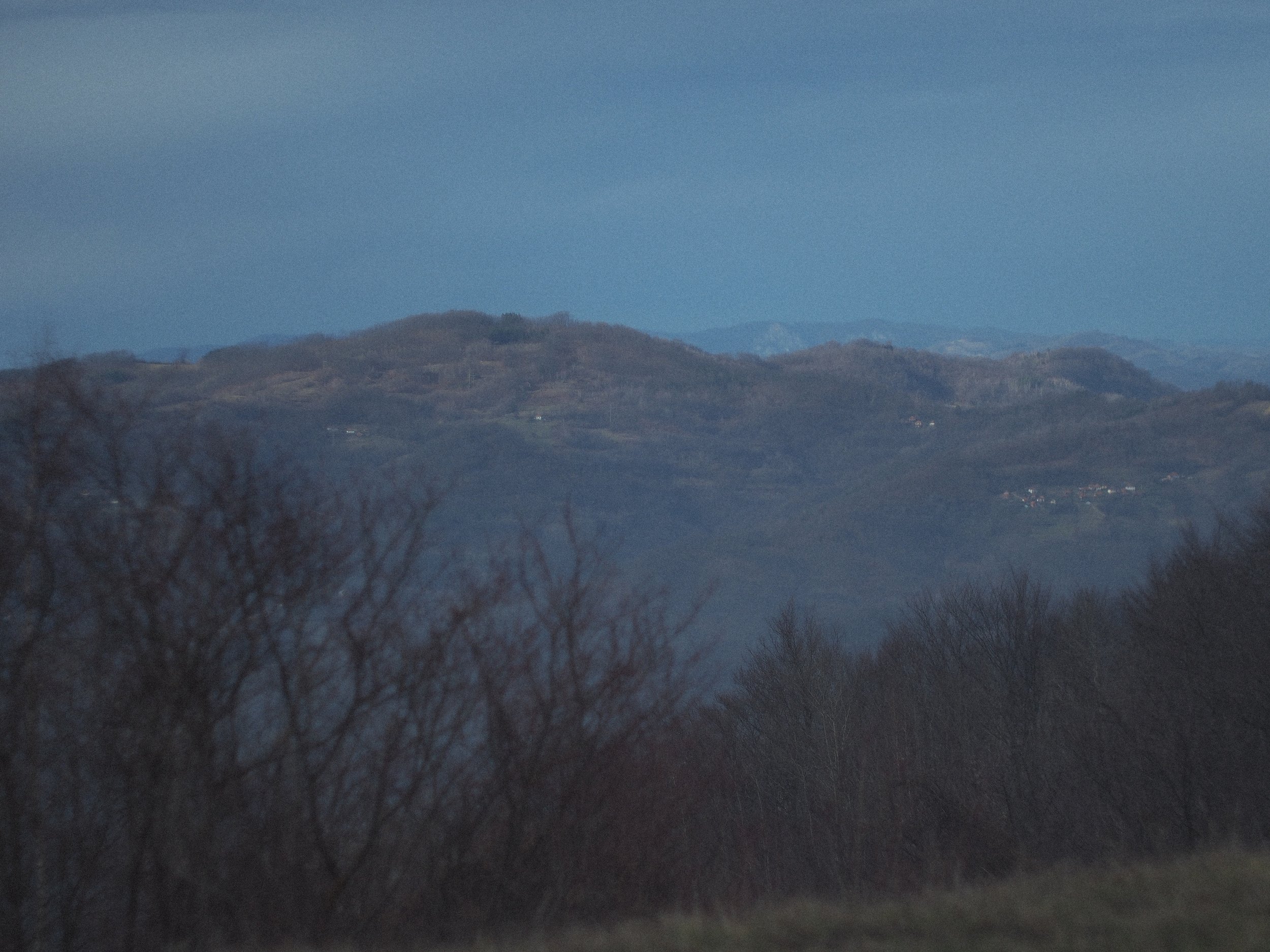 P2144849.jpg