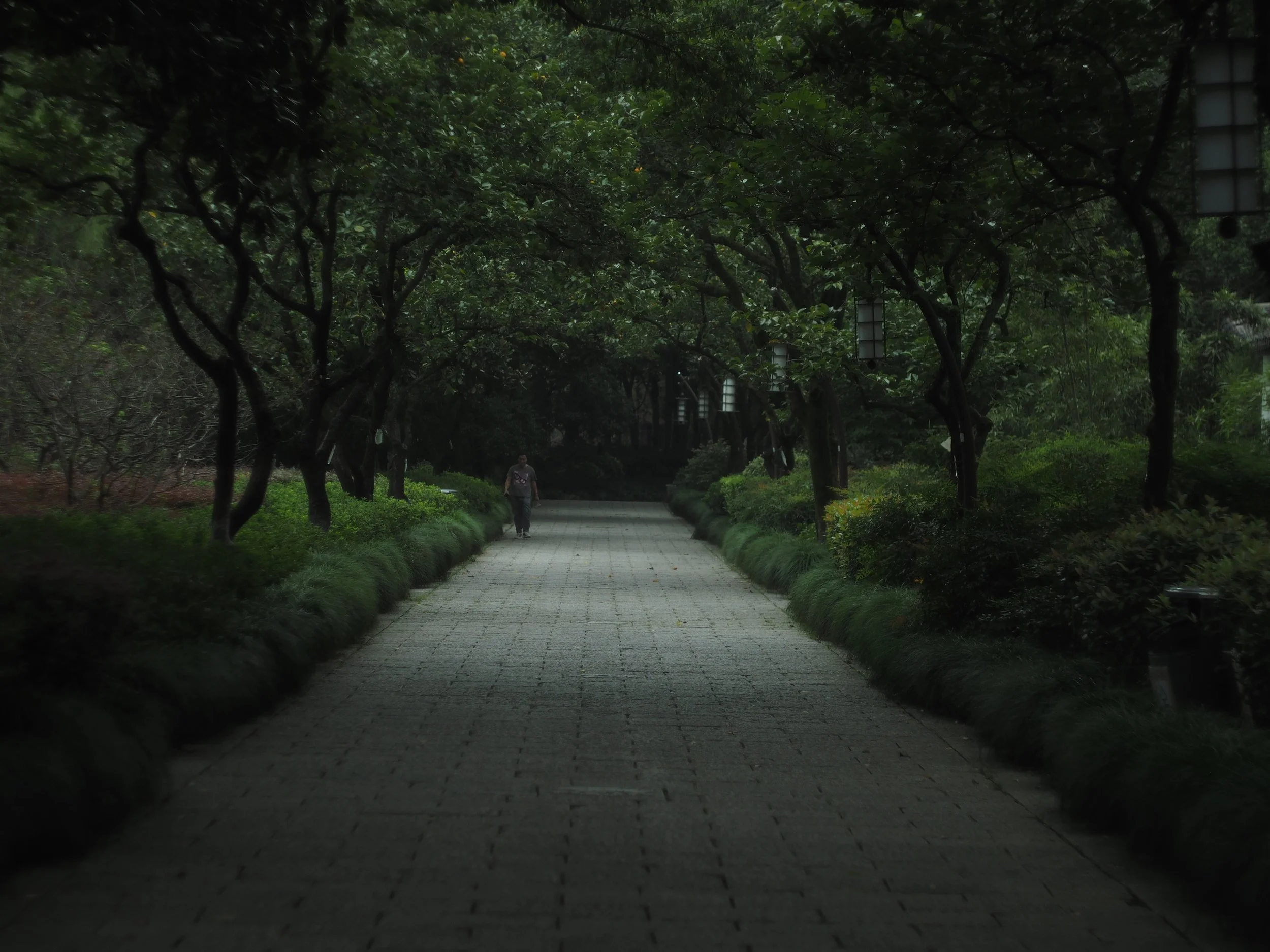 P9292262.JPG