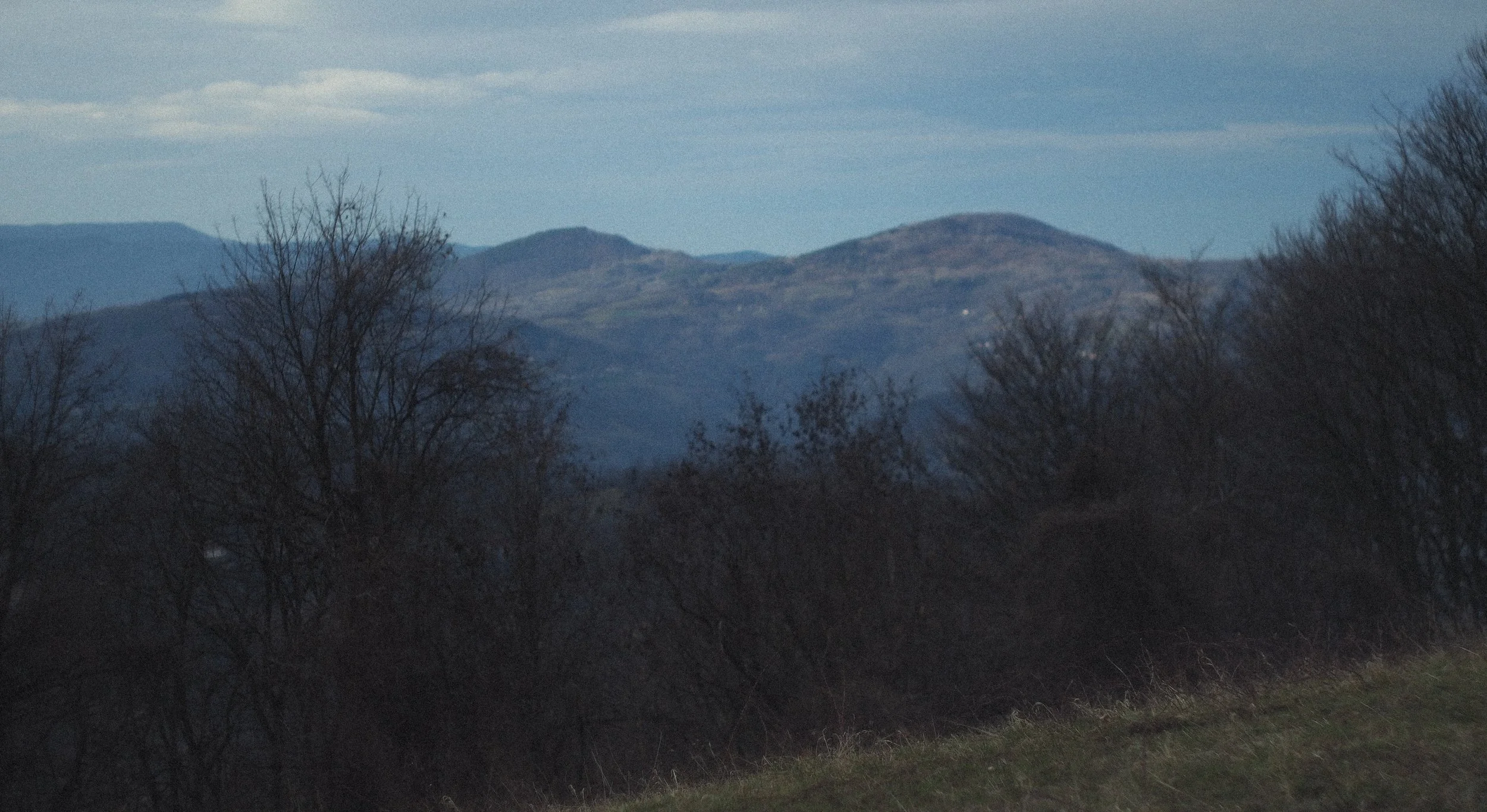 P2144882.jpg