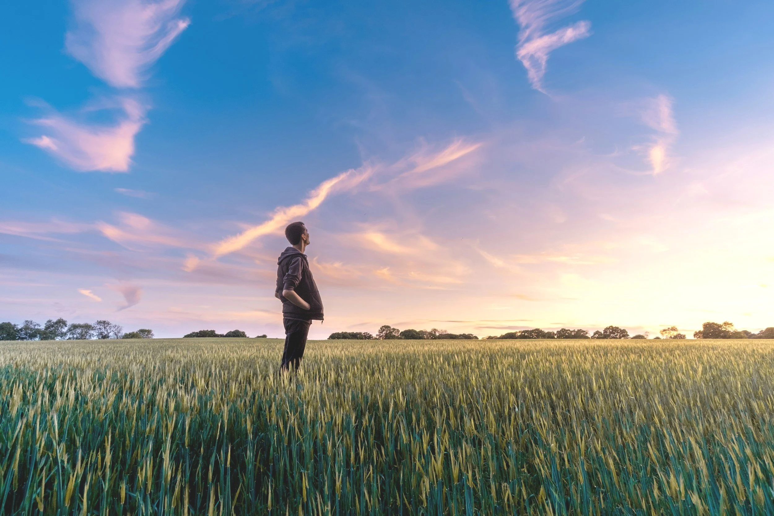 A person standing in a green wheat field during sunset, looking at the sky with colorful clouds.
