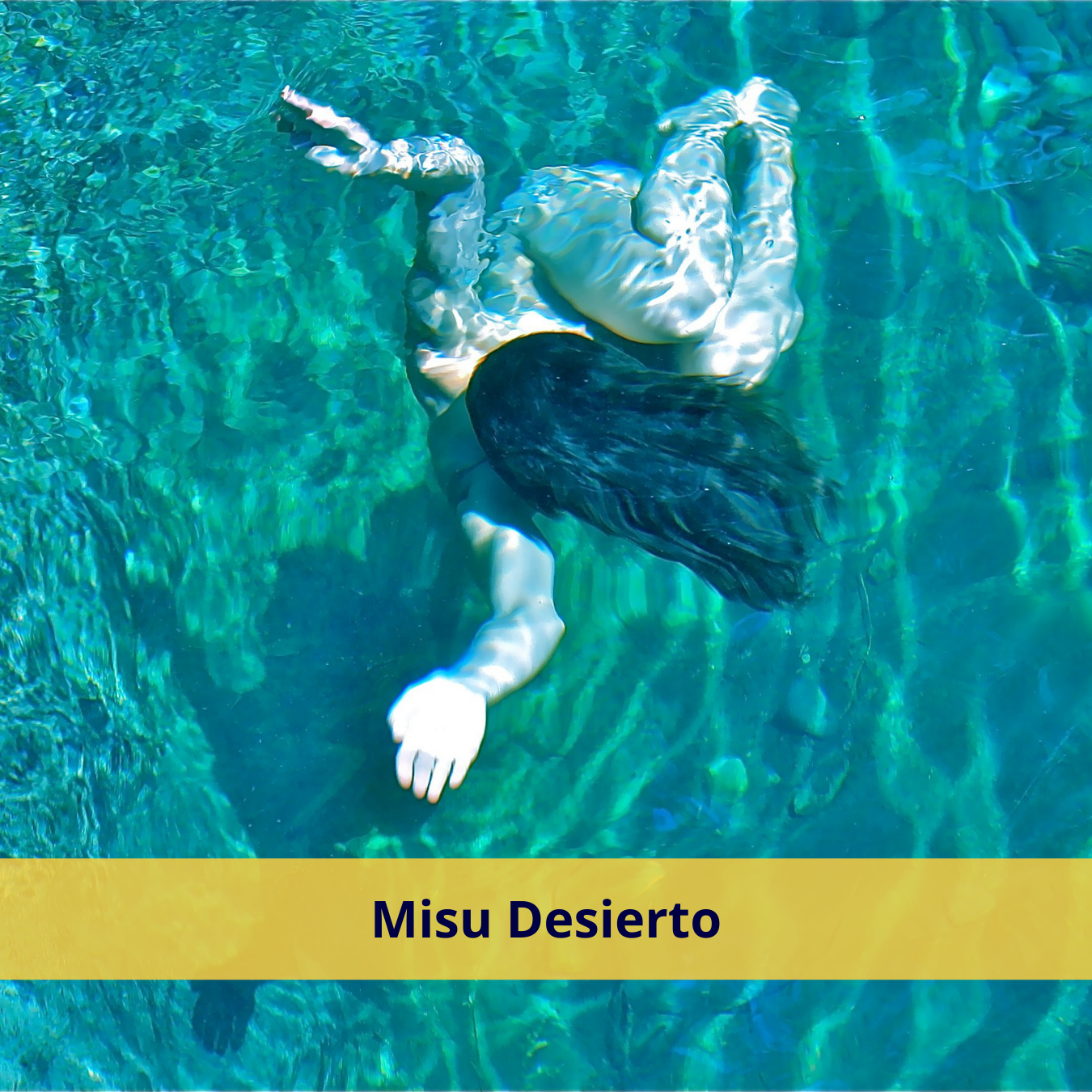 Mizu Desierto.png
