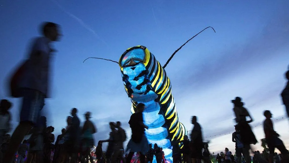 Caterpillars Longing 03.jpeg