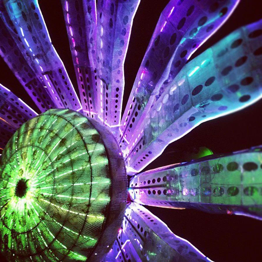 Electronic Daisy 02.jpeg
