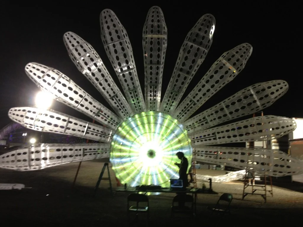 Electronic Daisy 03.JPG