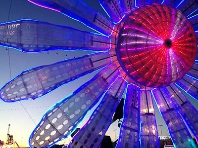 Electronic Daisy 01.jpeg