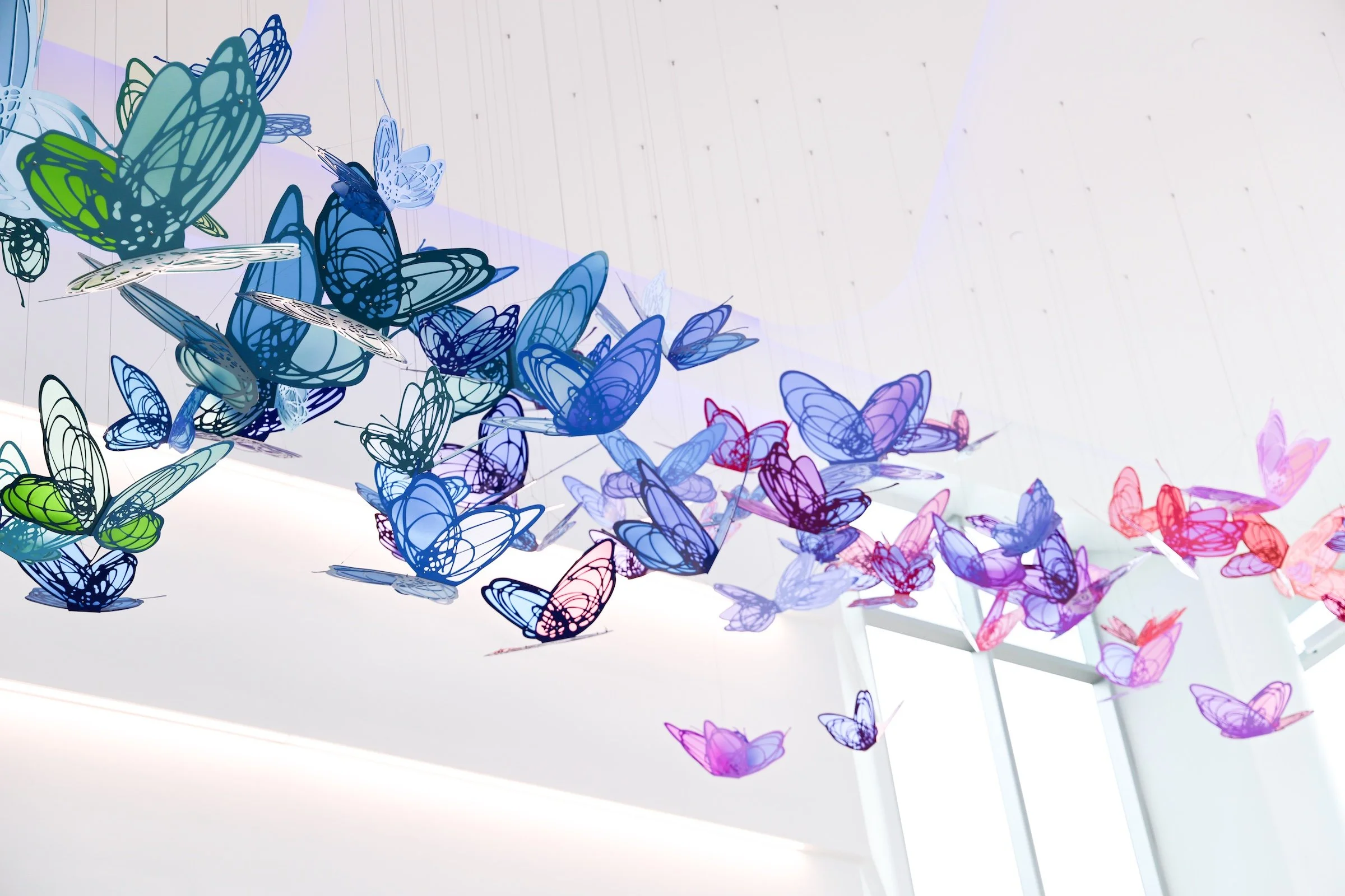Public Art_Studio Lesec_Hospital Hallway_72dpi.jpg