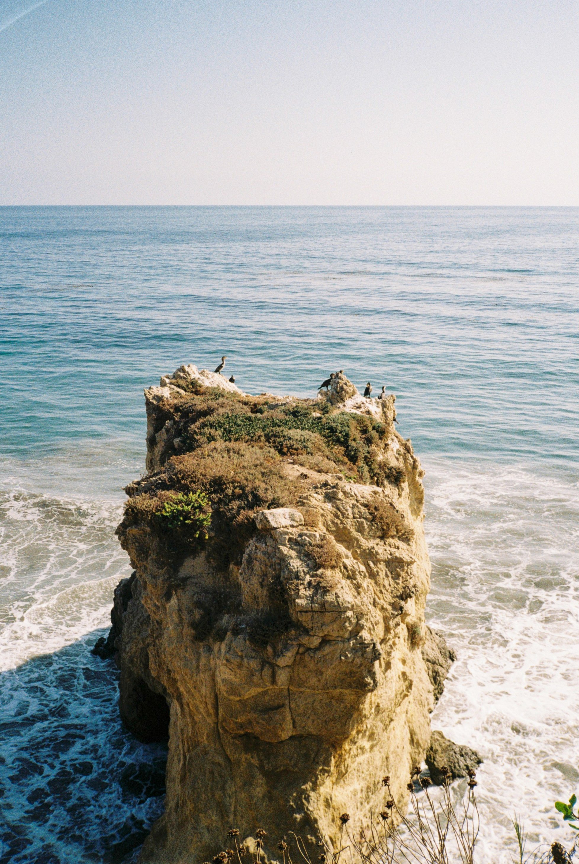 California5.jpg