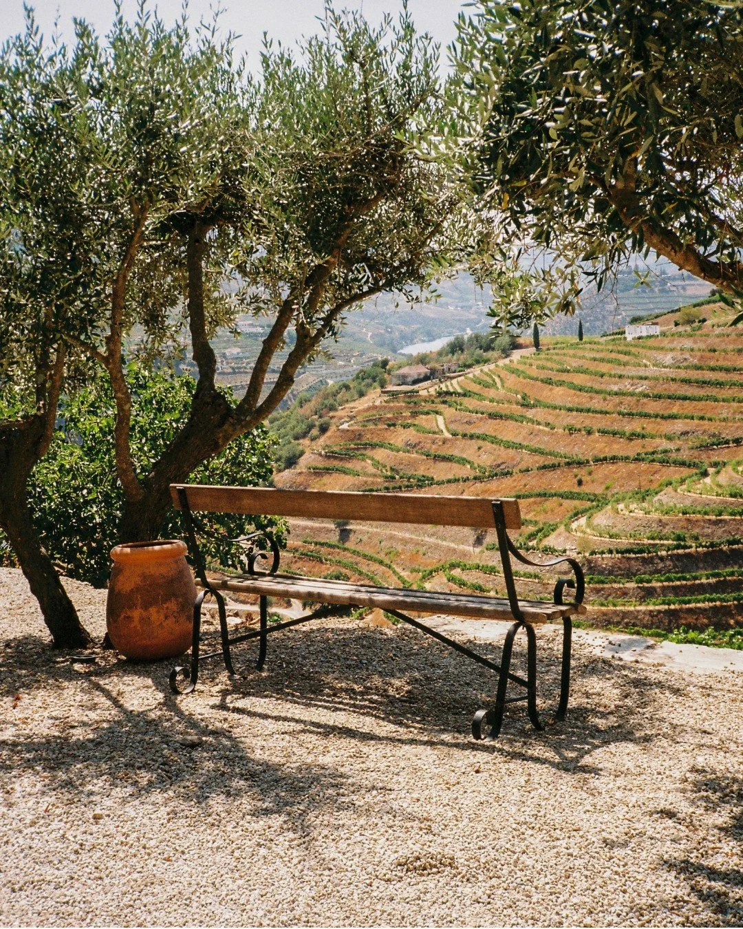 A fairytale location.. / 35mm
.
.
.
#filmphotography #analogphotography #filmphoto #portugal #35mm #portugal #quintanova