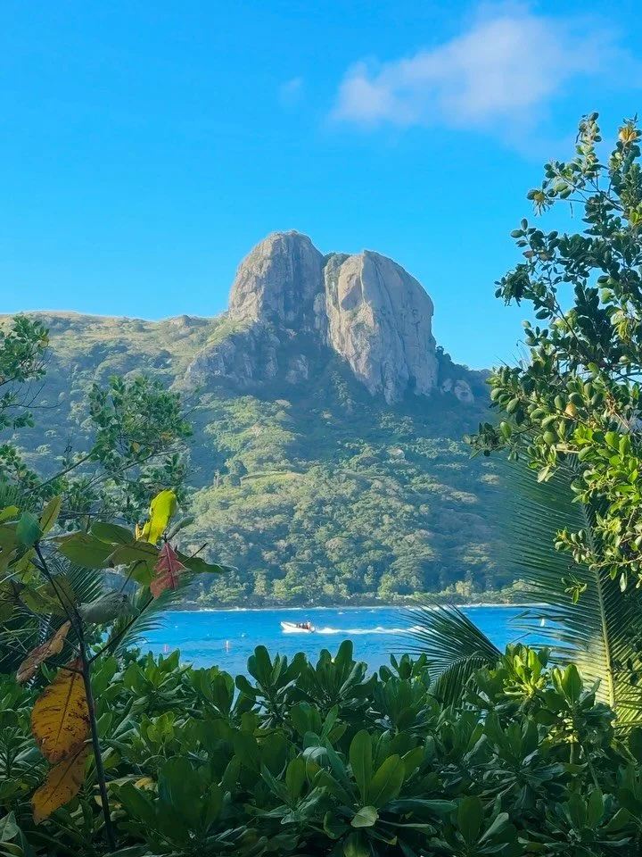 Disrupting the film feed for moving stills from Fiji. 🏝️🌺 
.
.
.
#fiji #yasawaislands #fijiislands #iphonevideo #fijiliving