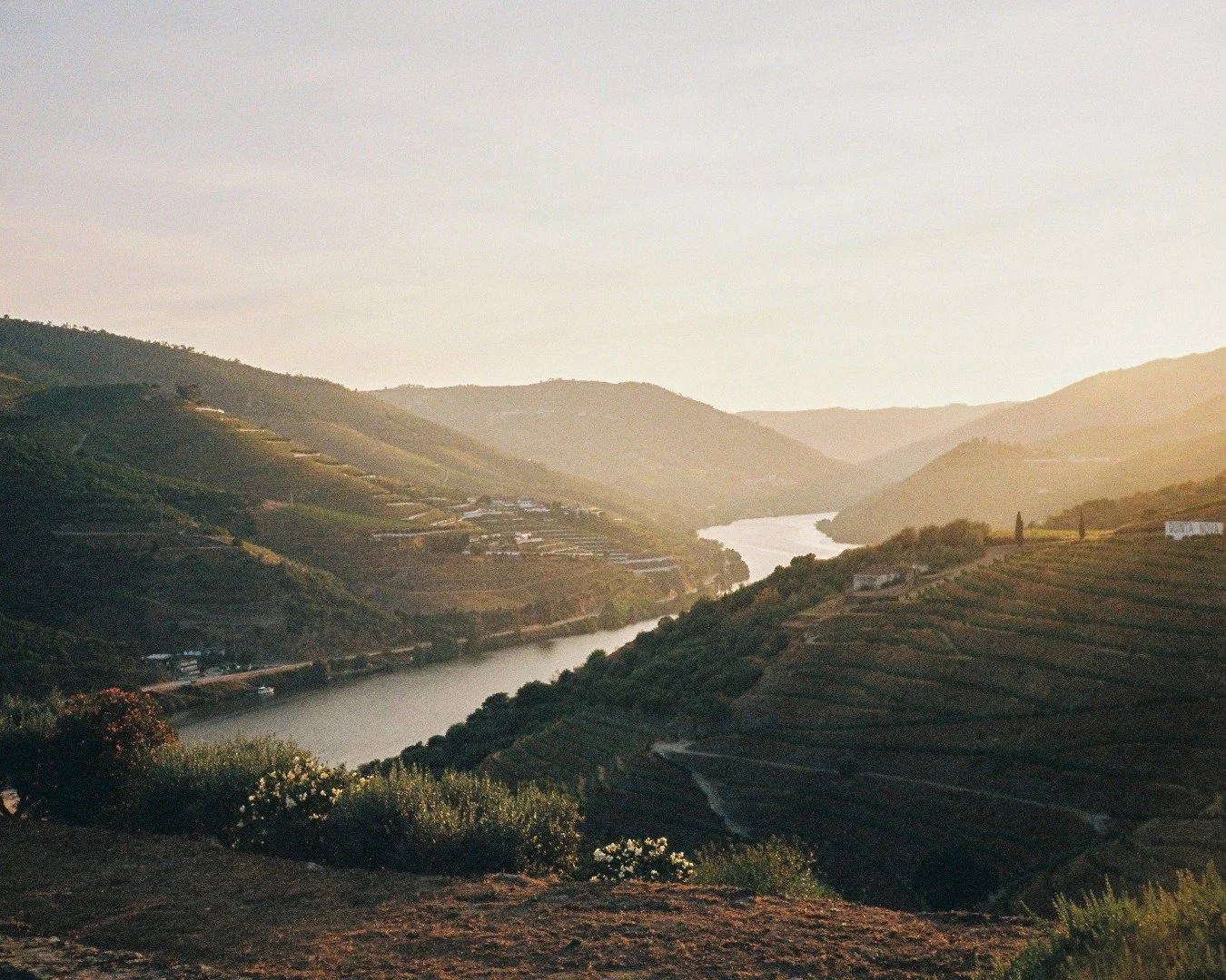 Douro Valley / 35mm
.
.
.
#filmphotography #analogphotography #filmphoto #portugal #35mm #dourovalley #douro #portugal